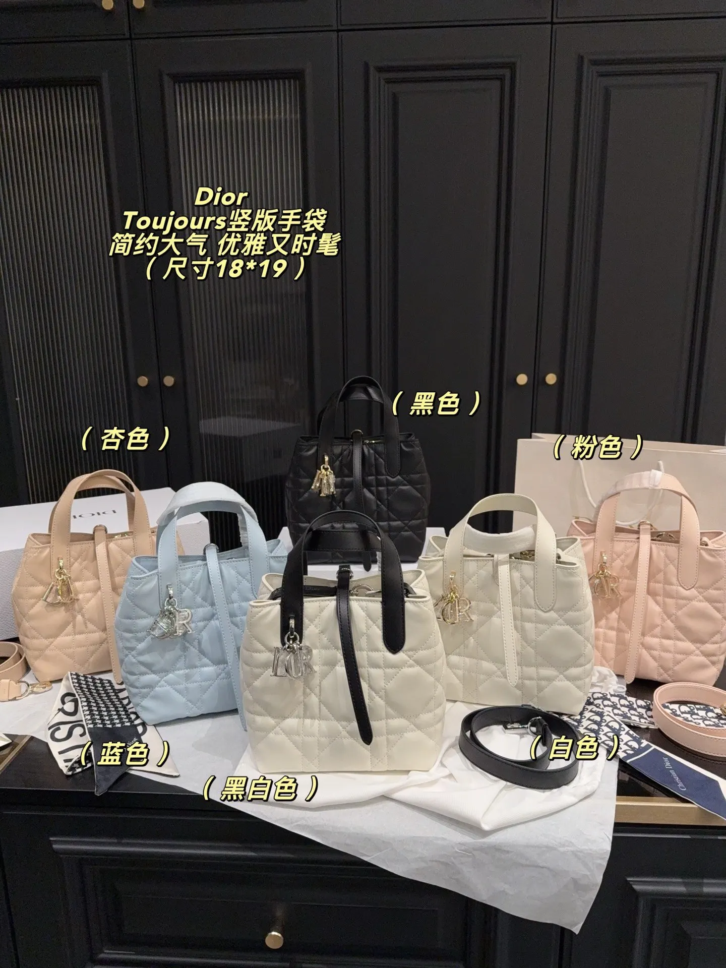 Dior Organizer Pouch Travel