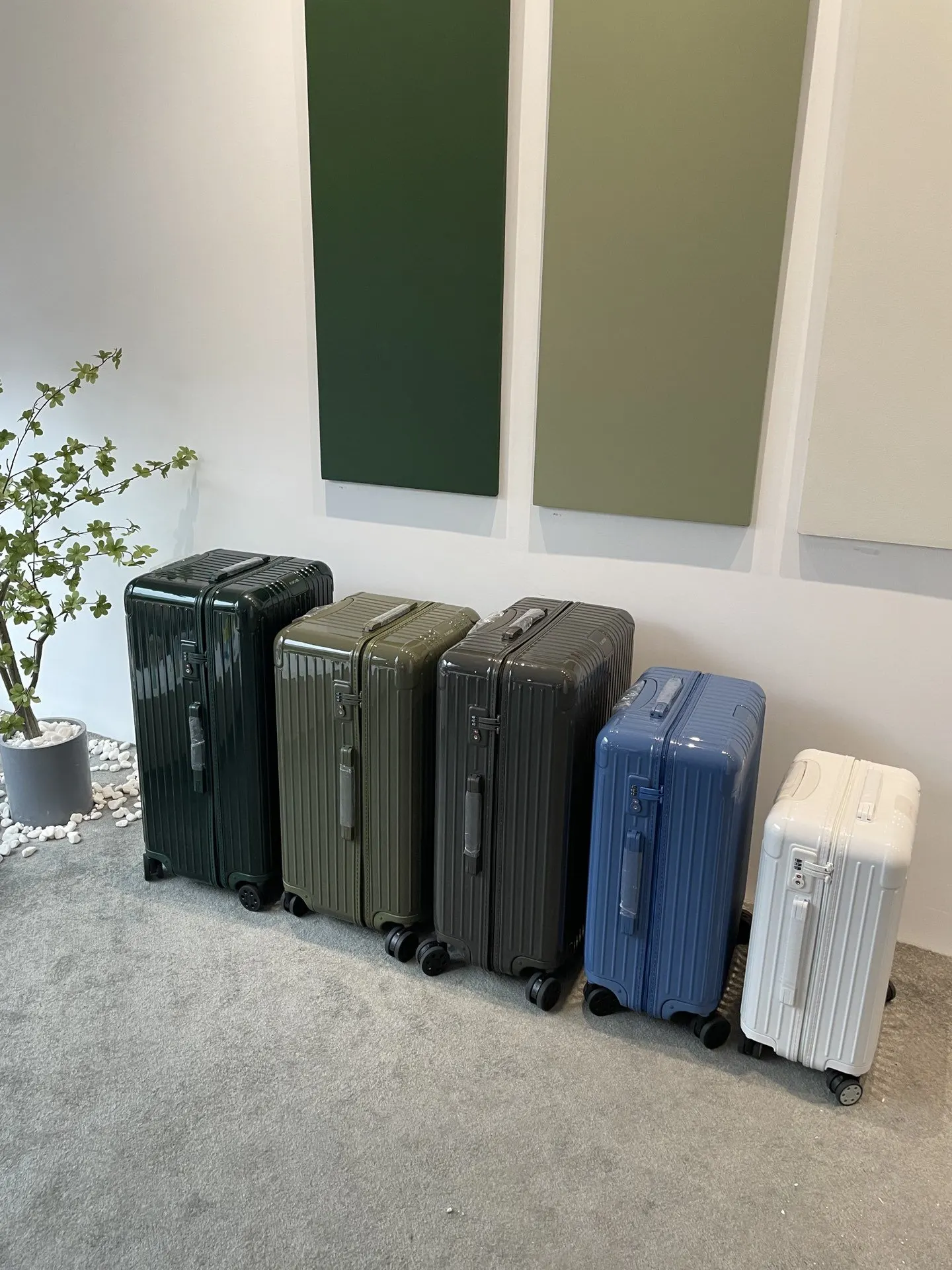 Black White Suitcase Travel Lightweight