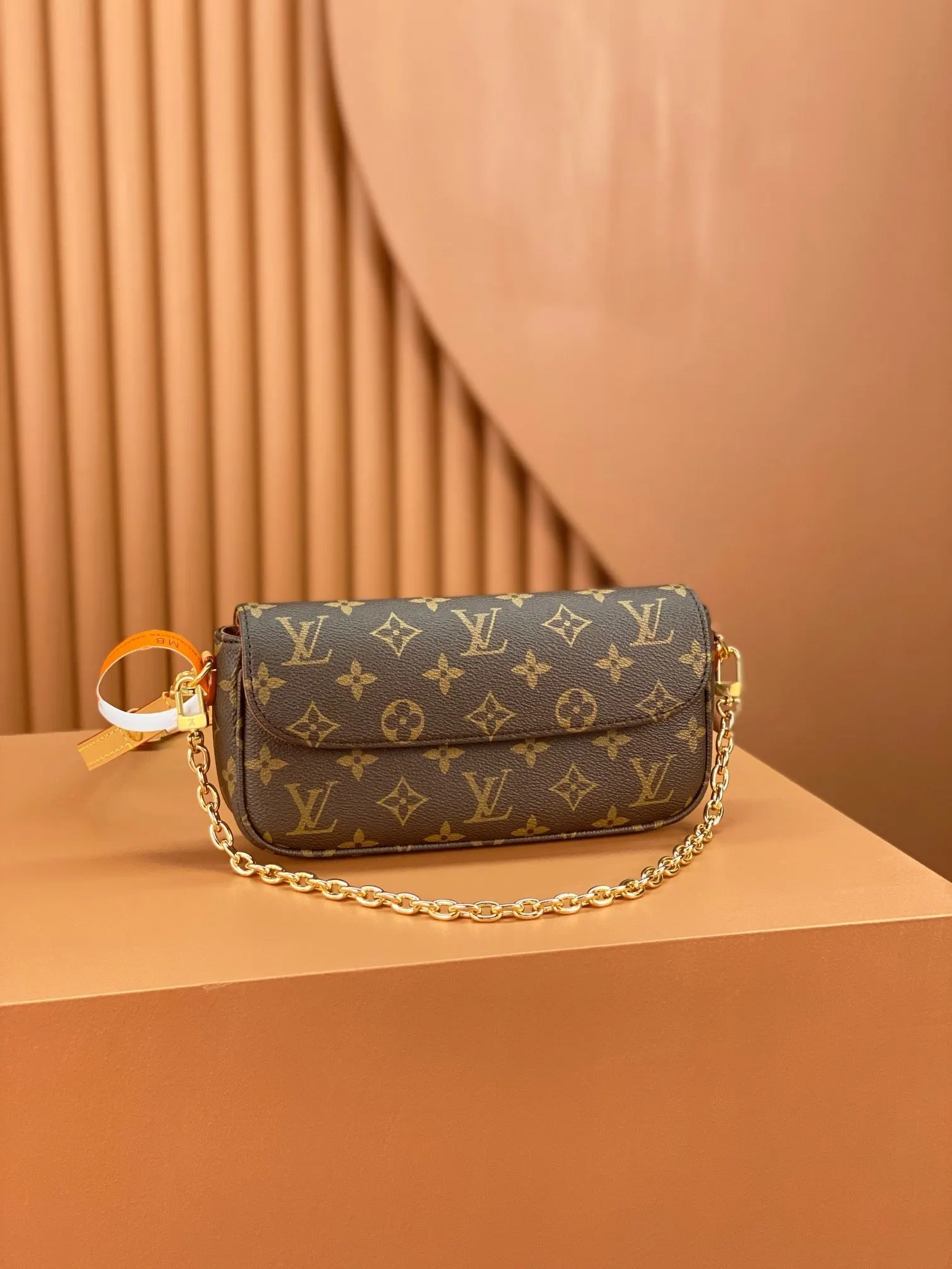 Chain Bag