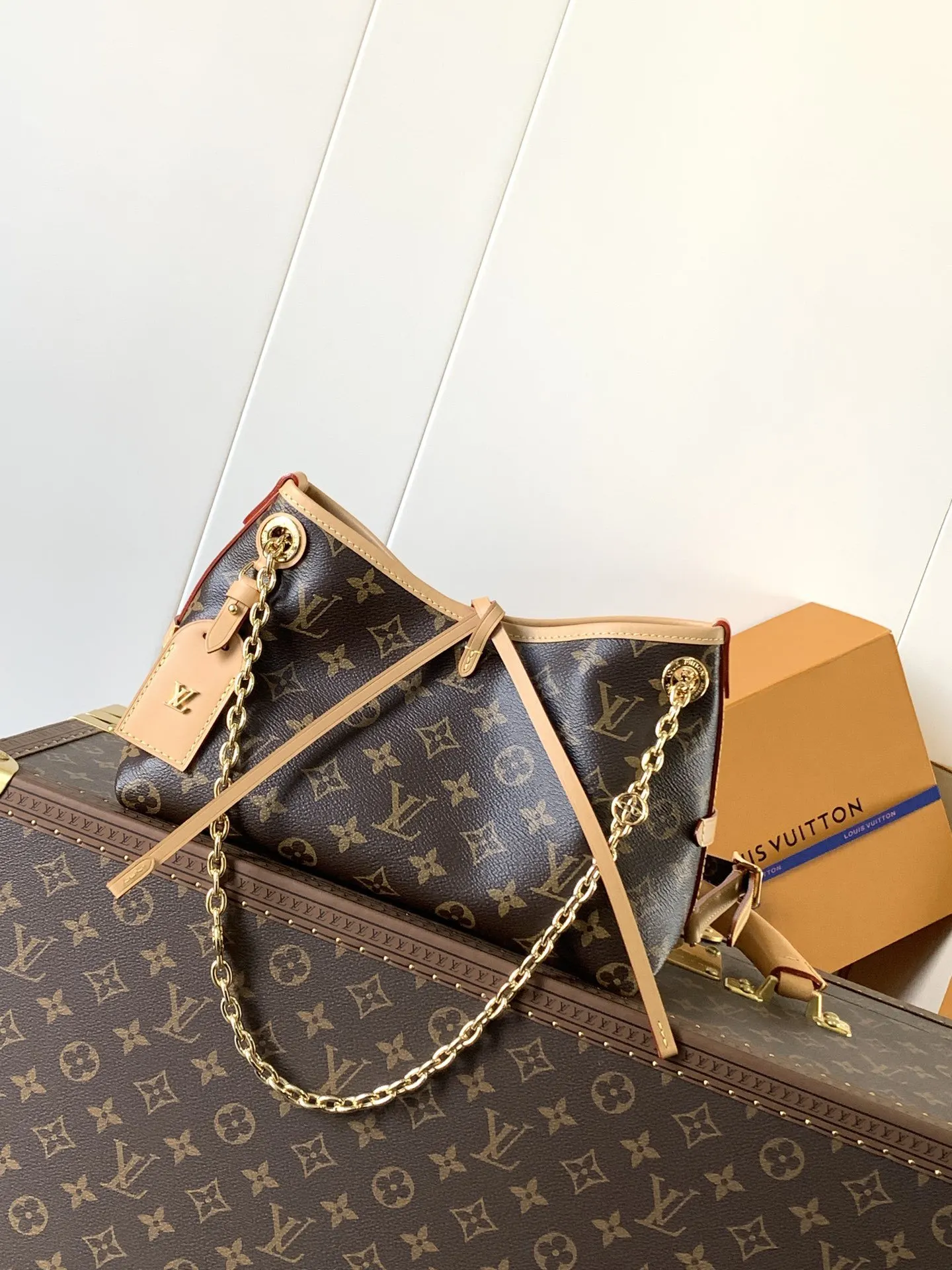CarryAll 牛皮 链条包 精致链条款