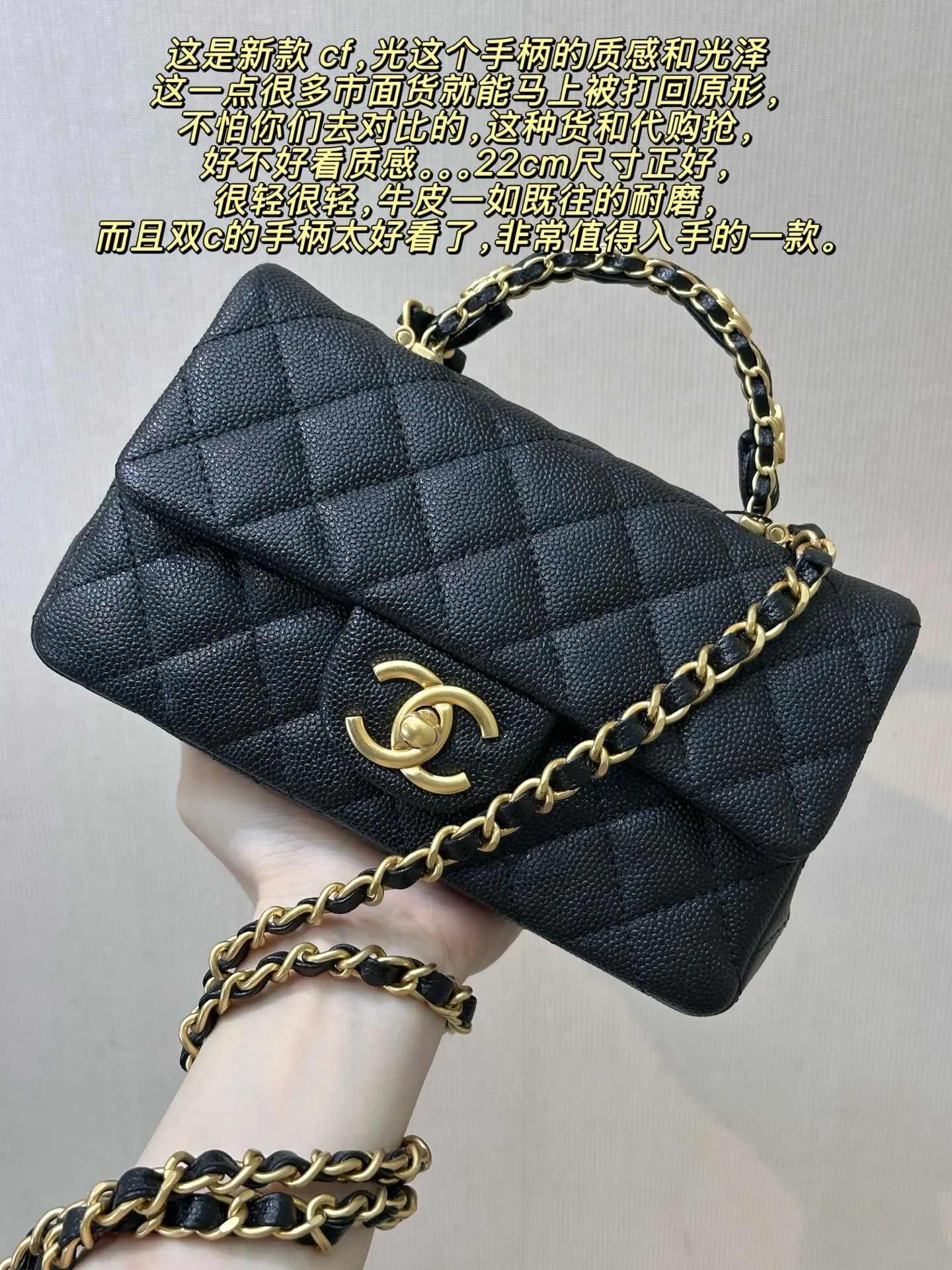 Chanel Chain Bag Leather