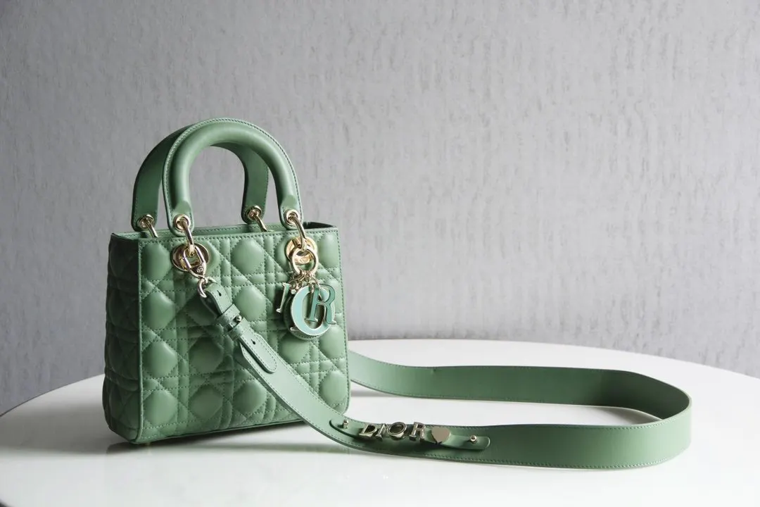 Dior Lady 收納包 旅行收納款