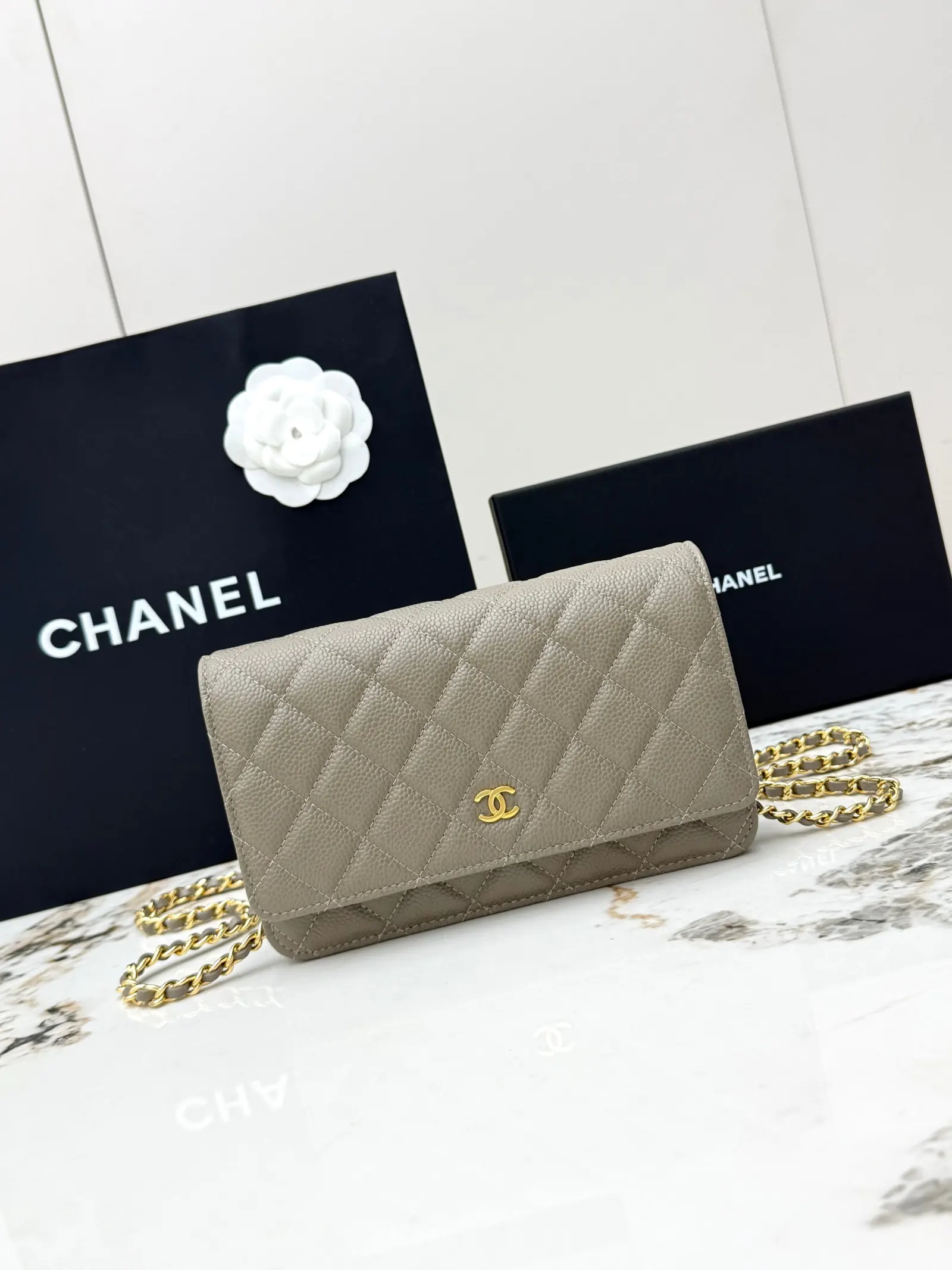 Chanel Chain Bag Leather