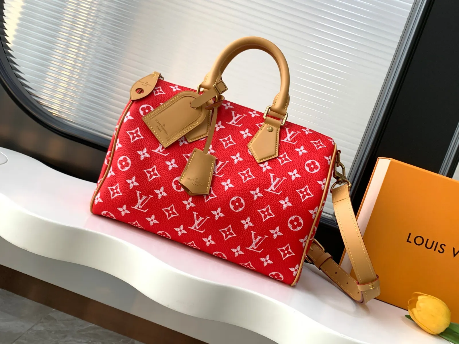 LV 紅色彩点Speedy手袋 小號款