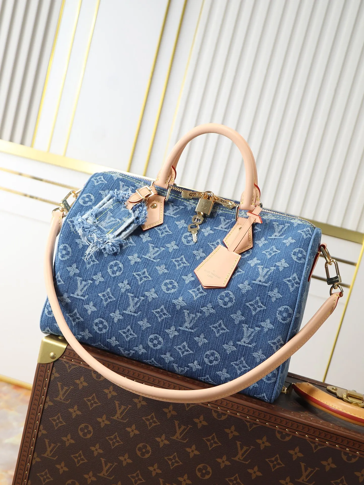 Louis Vuitton Organizer Pouch Travel