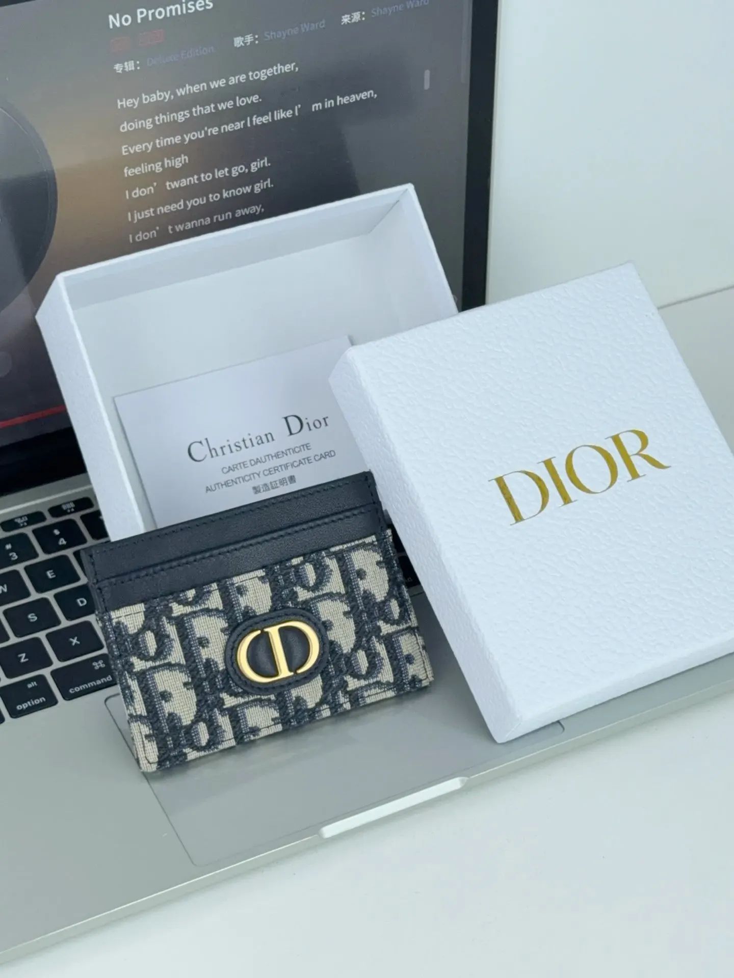 Dior Oblique 老花卡包 精緻配飾款