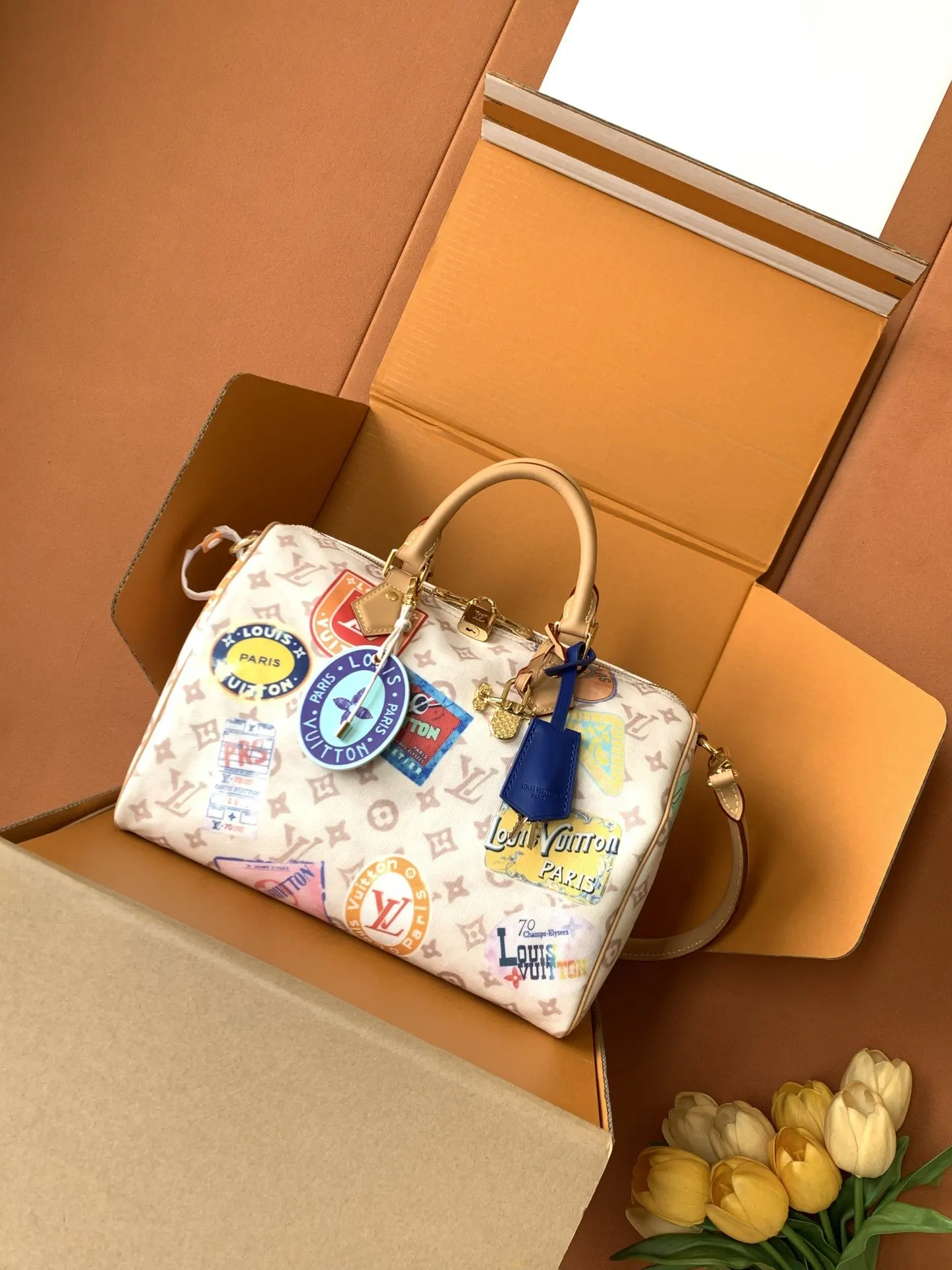 Louis Vuitton Shoulder Bag