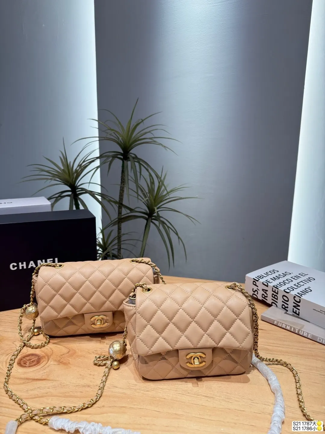 Chanel Chain Bag