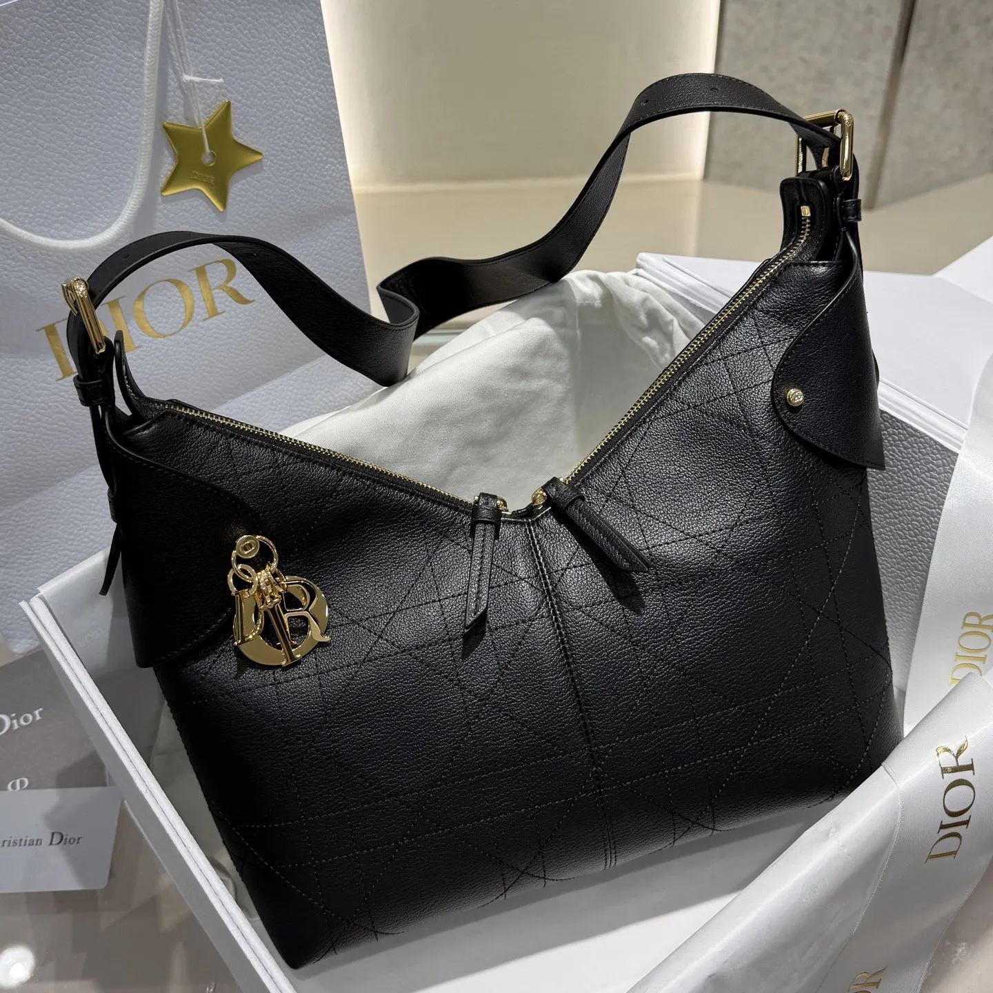 Dior 腋下包 手提斜挎款