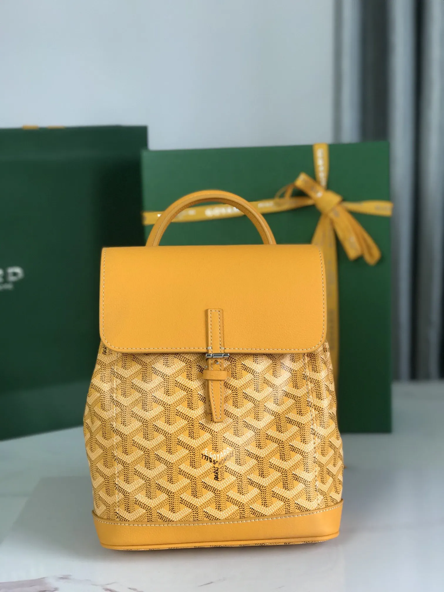 Goyard 皮革 Aln迷你 雙肩包 升级 送 礼品盒 说 实用雙肩款