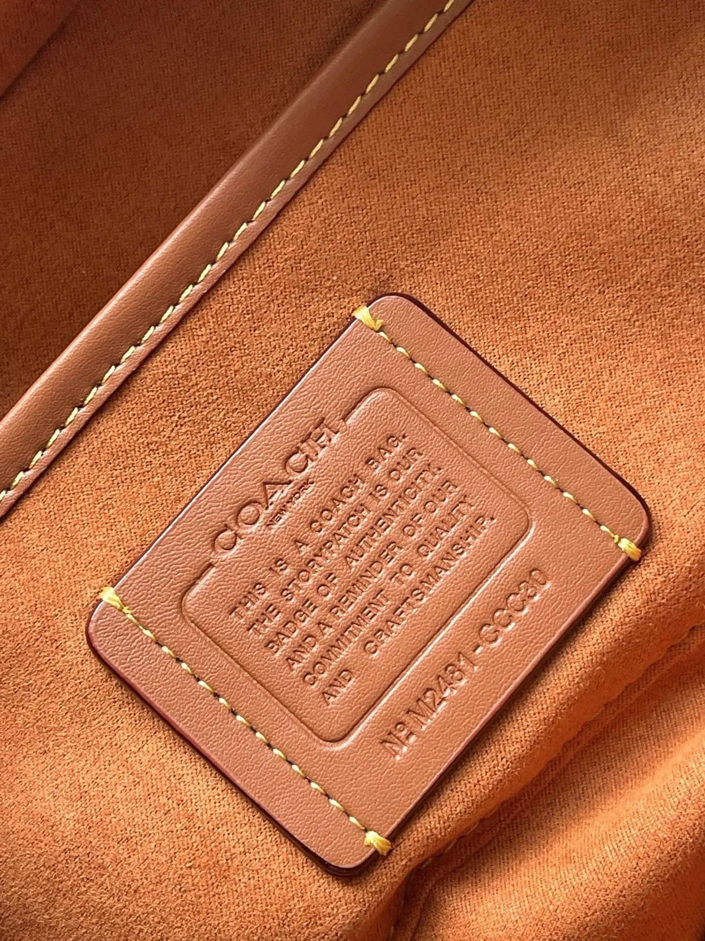 Coach CarryAll 單肩包 日常單肩背款