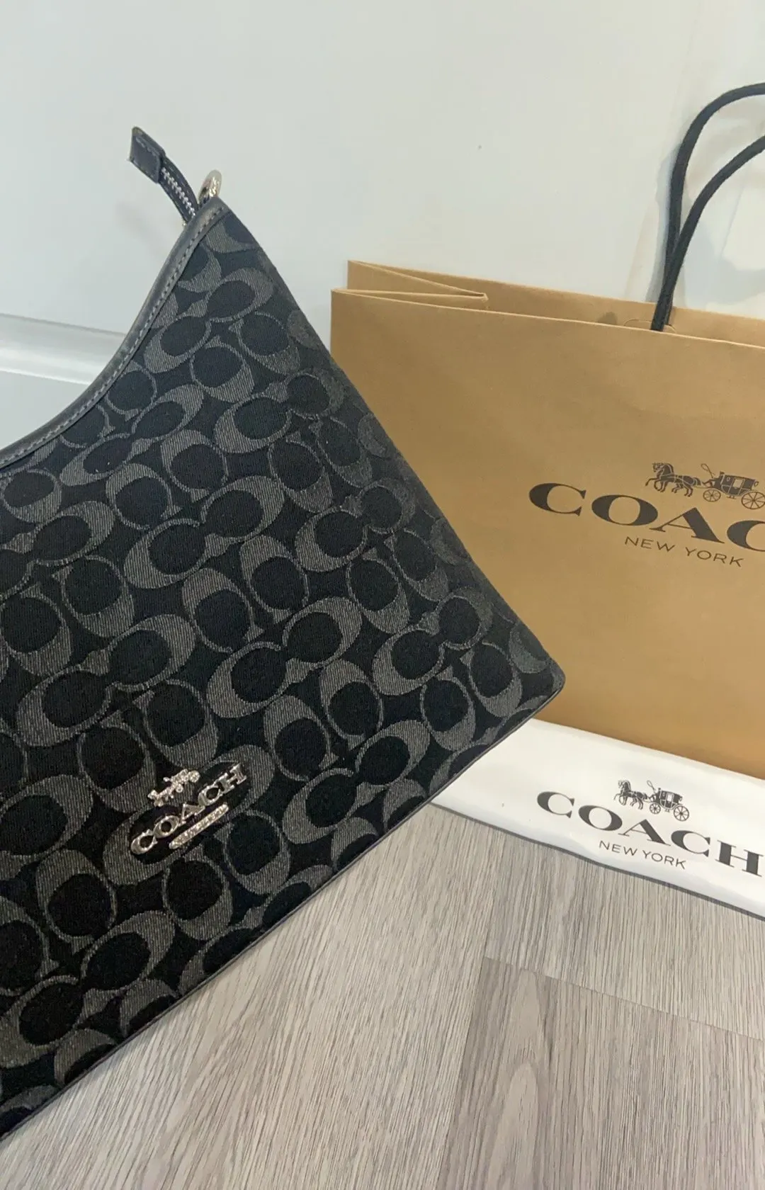 Coach 火新的颜色 蔻家一月 腋下包Lau 复古腋下背款