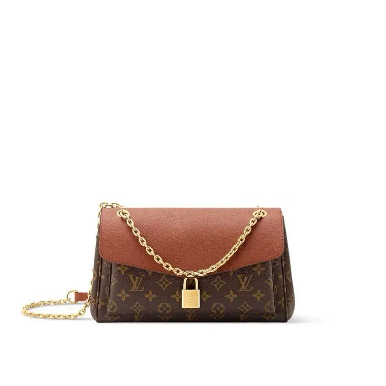 Louis Vuitton Black Brown Chain Bag Canvas
