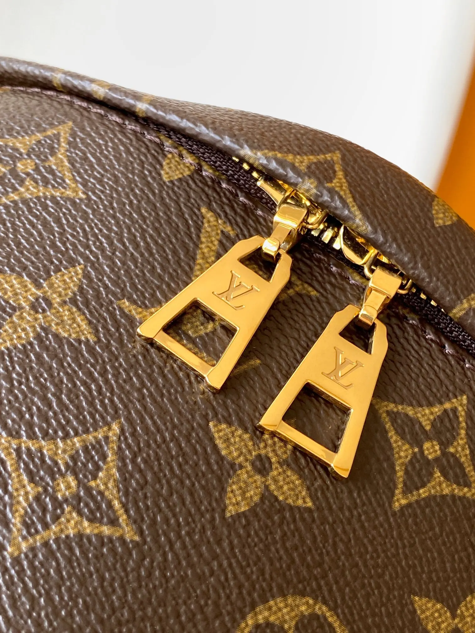Louis Vuitton Belt Bag Casual Canvas