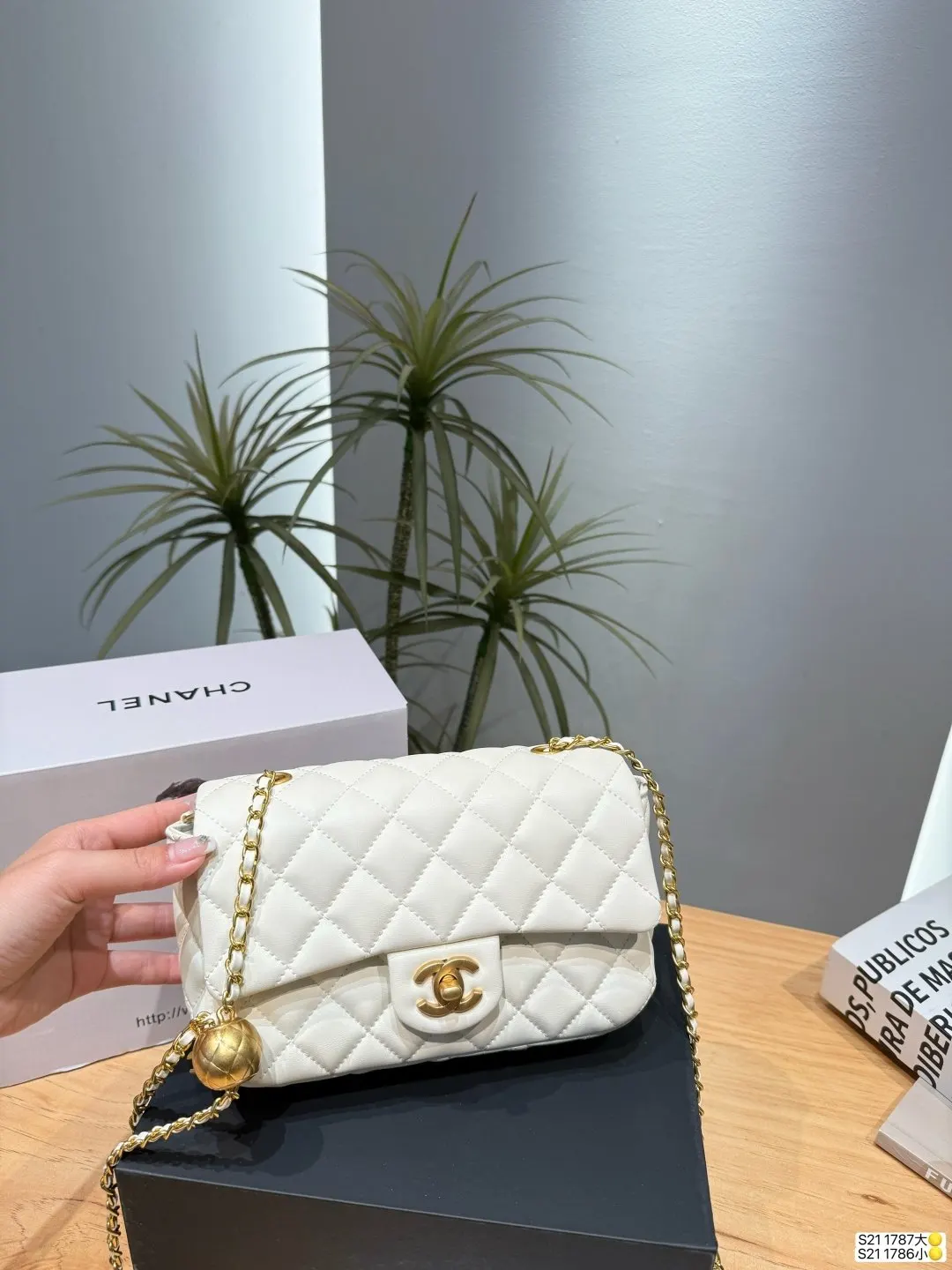 Chanel Chain Bag