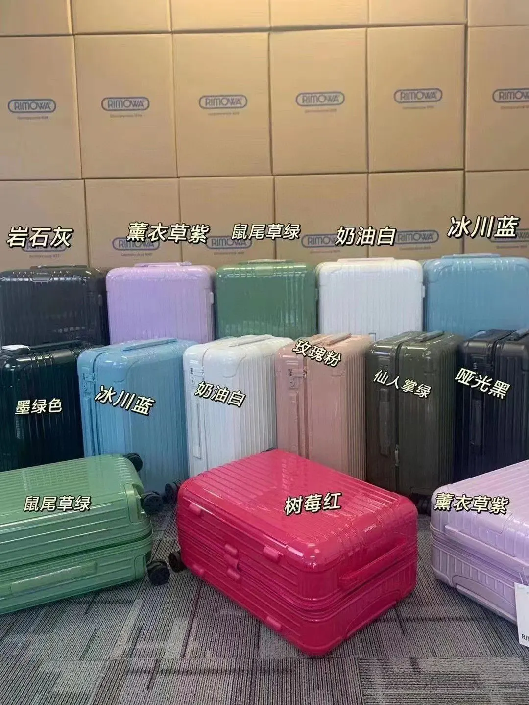 黑色 白色 Essential 系列 原Salsa的 行李箱 旅行拉杆款 輕便出行款