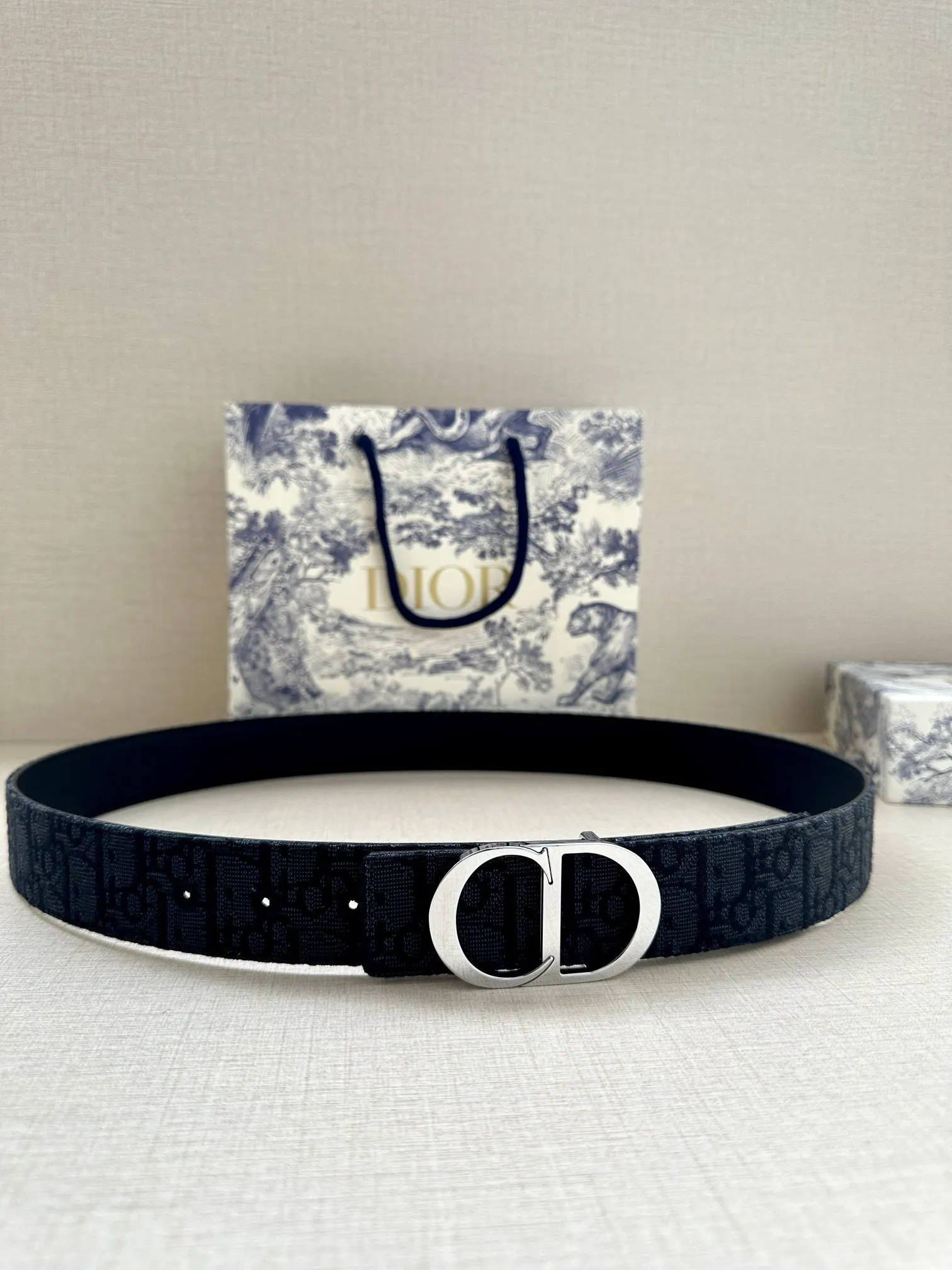 Dior 黑色Oblique腰帶 银色圆扣款