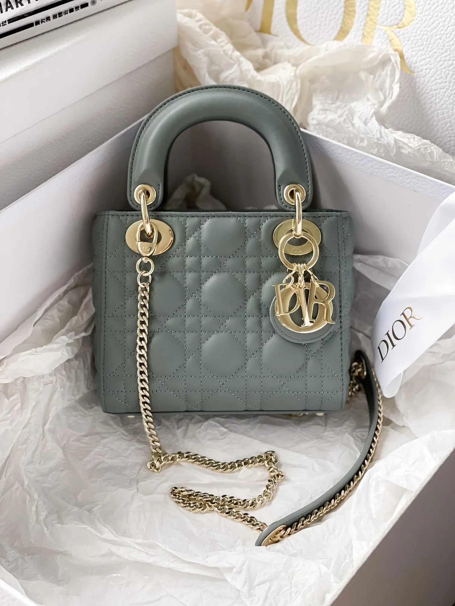 Dior bags, portable messenger models