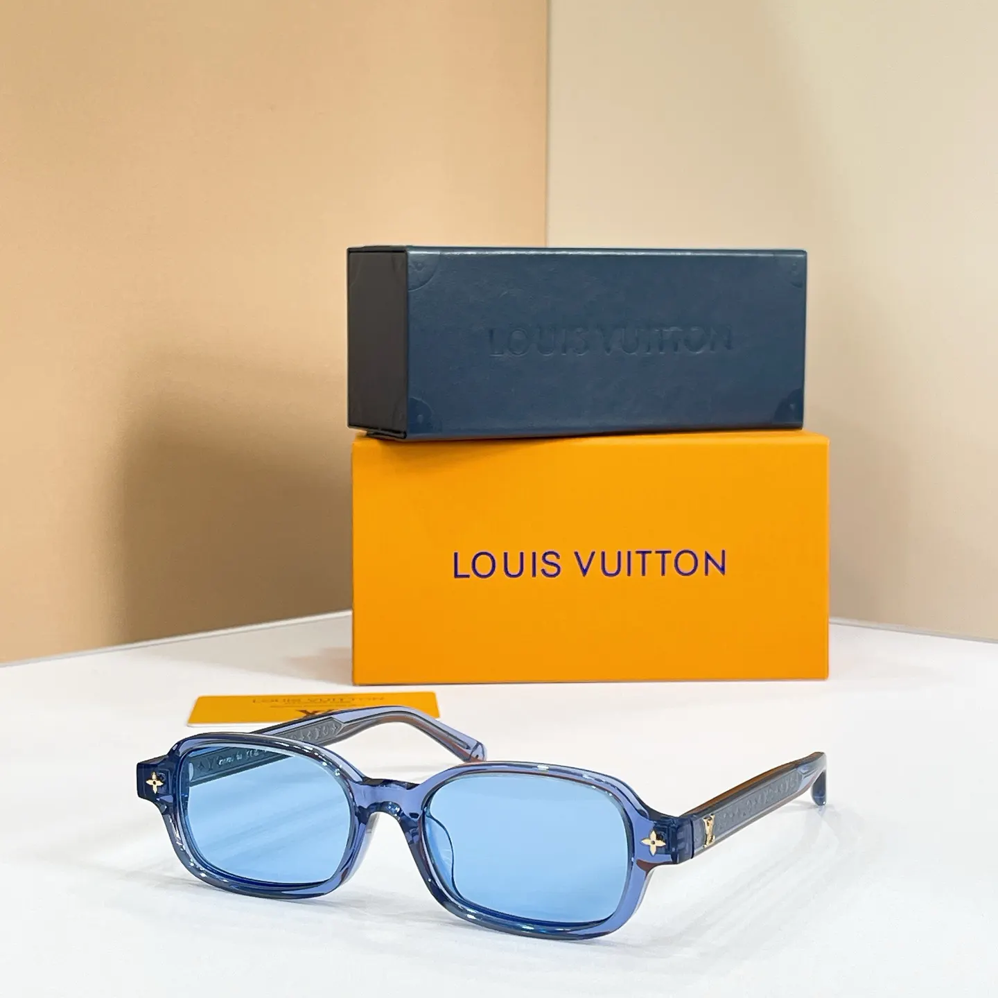 Louis Vuitton Fashion Item Fashion