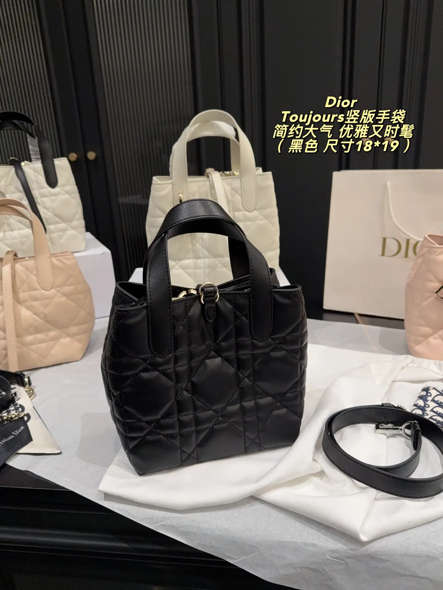 Dior Organizer Pouch Travel
