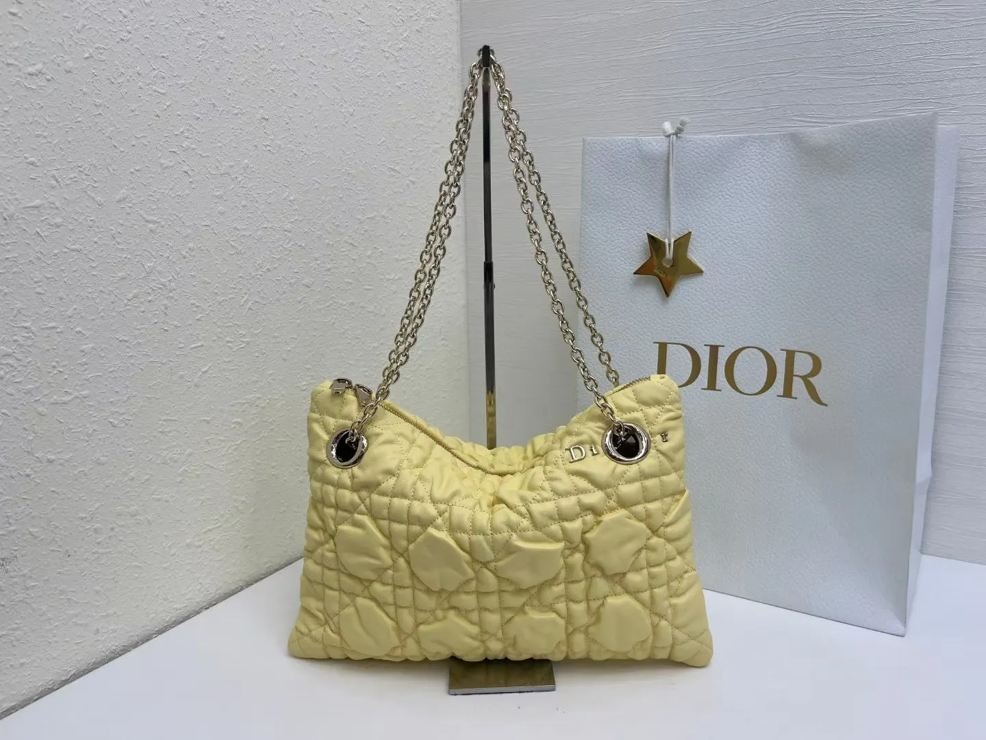 Dior Chain Bag Classic