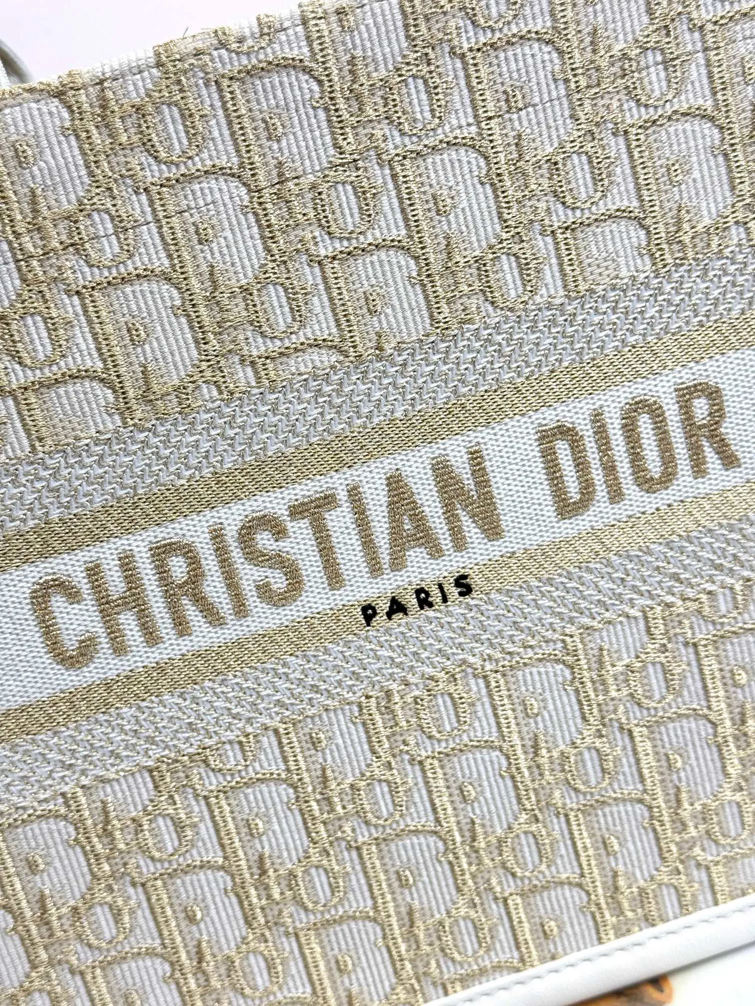 Dior Book Tote Oblique 皮革 托特包