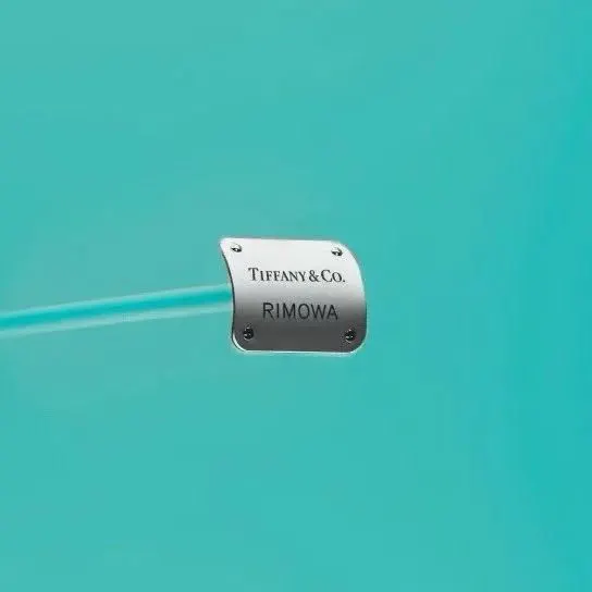 Rimowa Suitcase Travel Lightweight