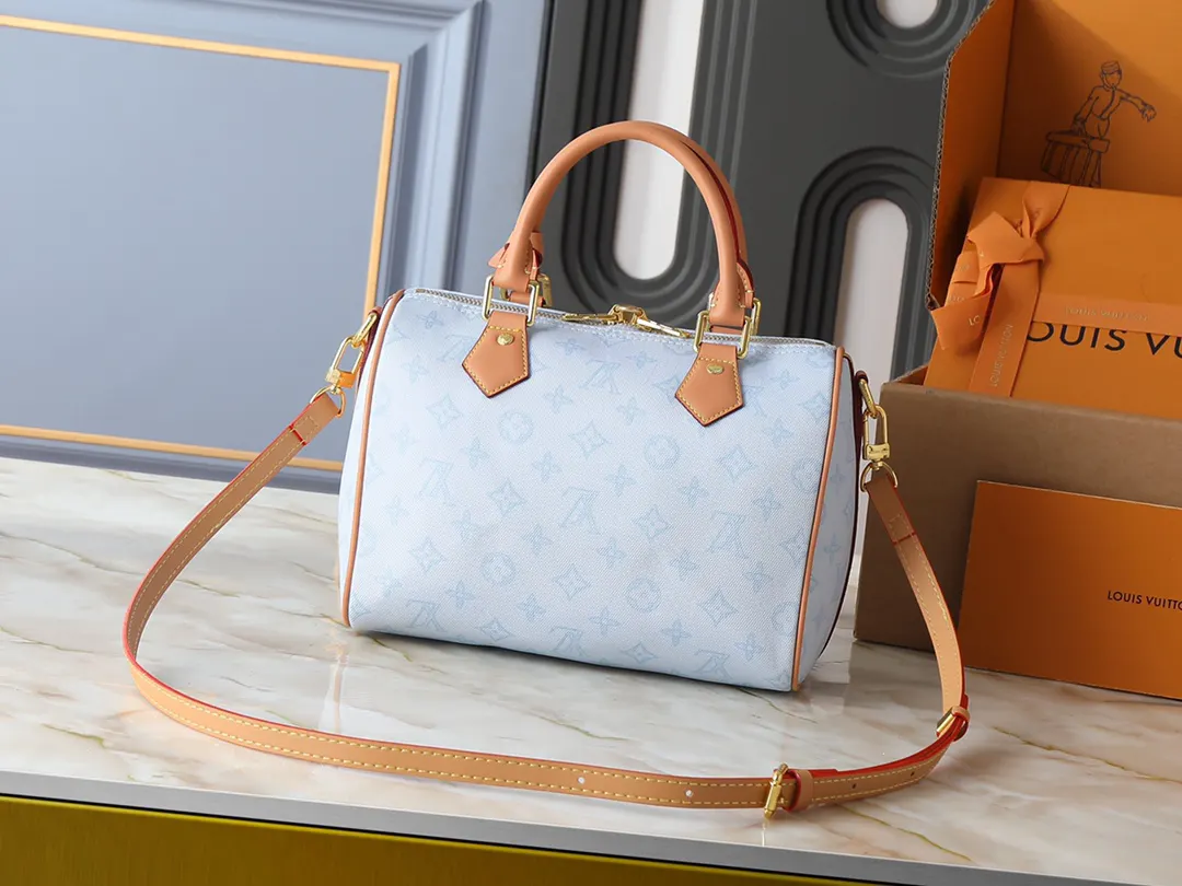 Louis Vuitton Organizer Pouch Travel Leather