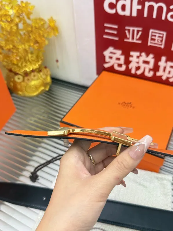 Hermès 渲染 Togo牛皮 手提包