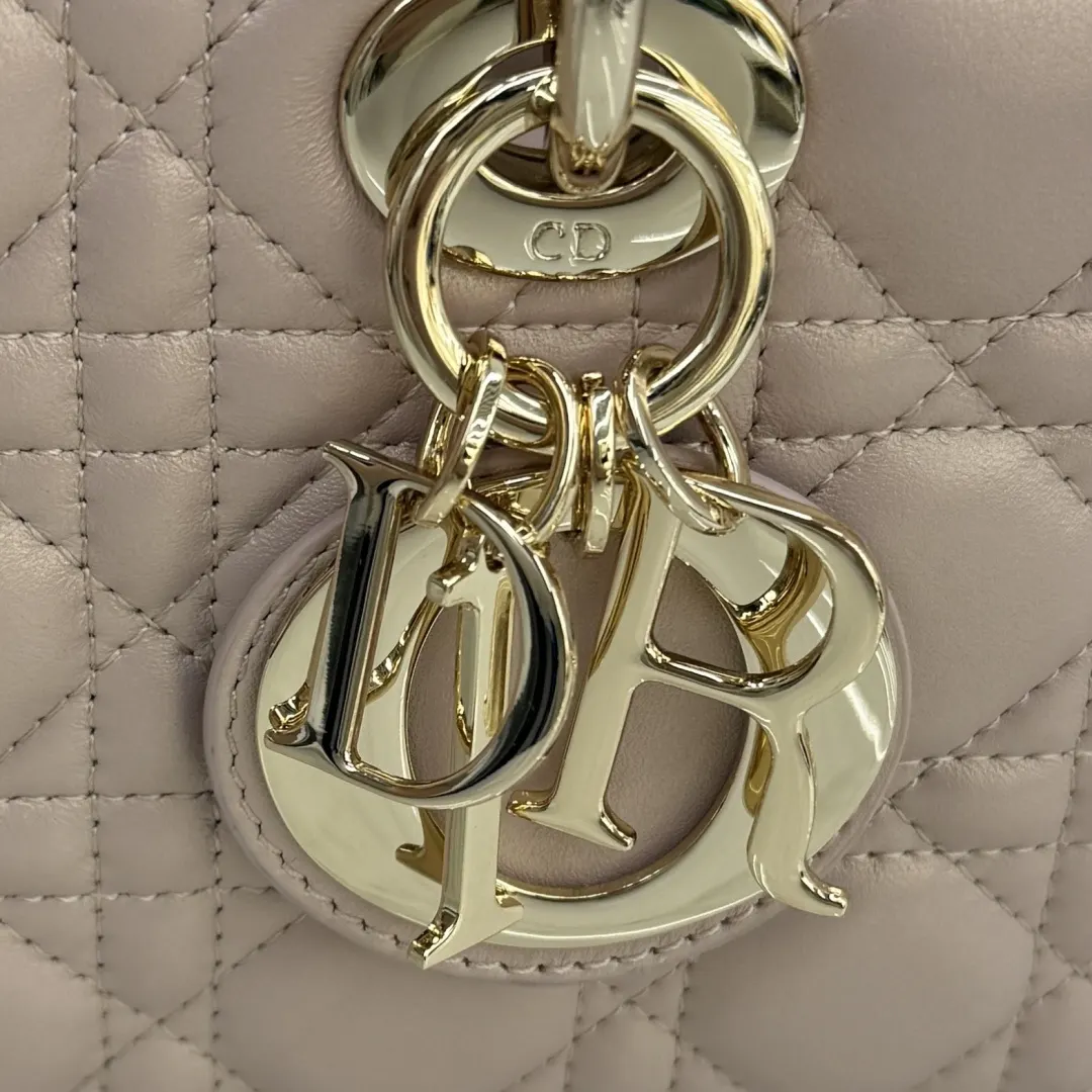 Dior D Joy 皮革链条包 手提斜挎