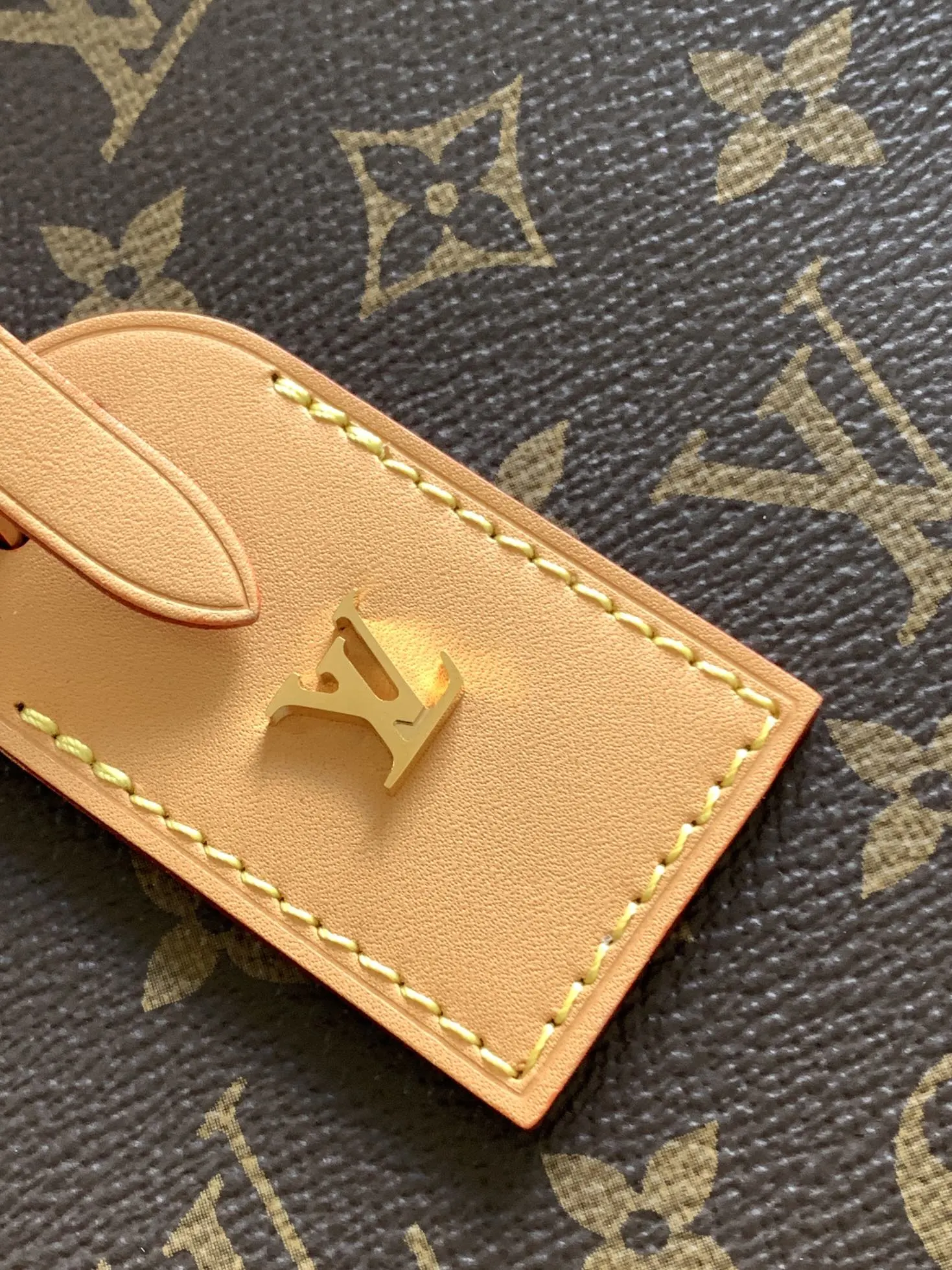Louis Vuitton M45647 Crossbody Bag