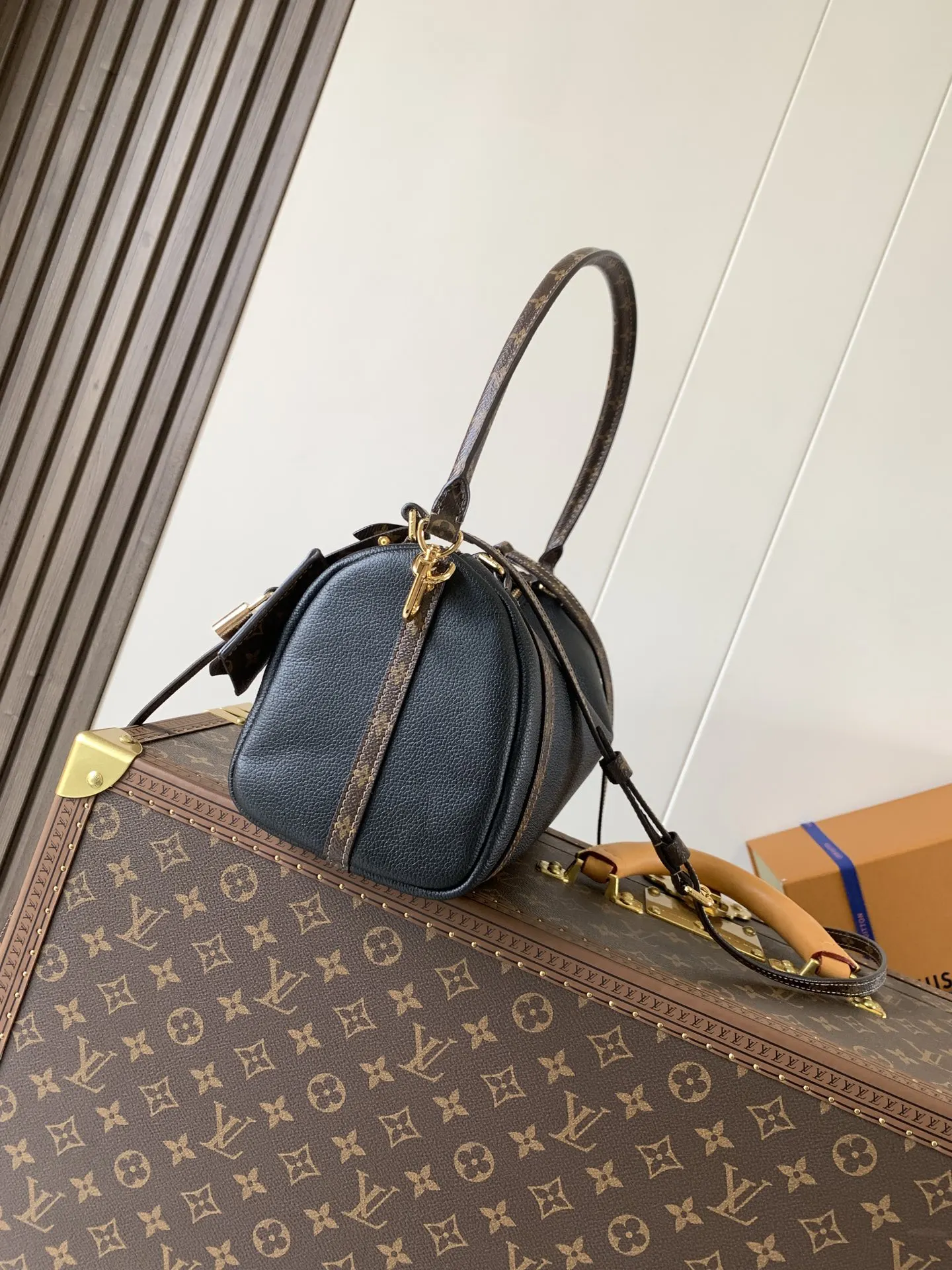 Louis Vuitton Black Fashion Item Travel Leather