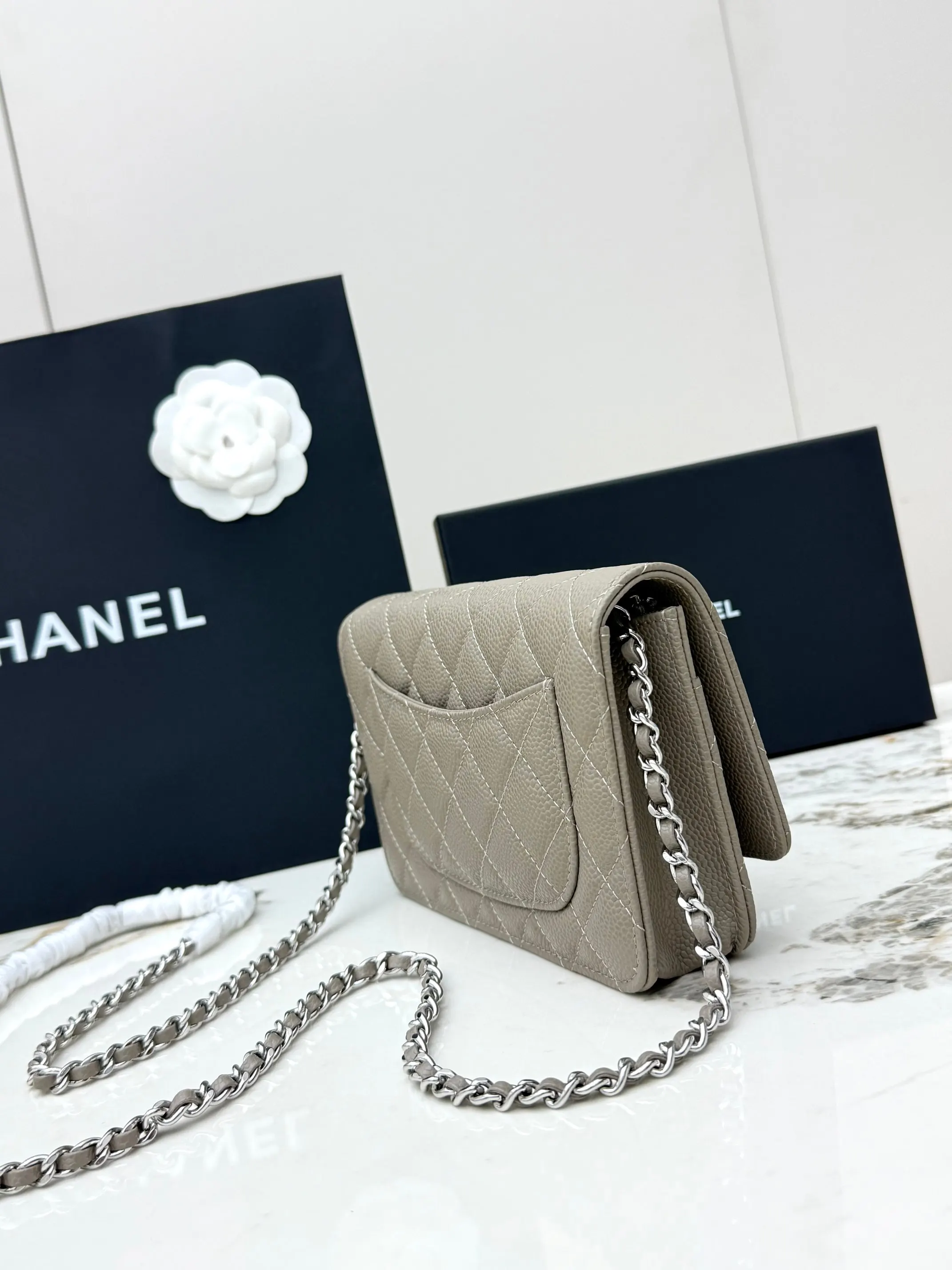 Chanel Chain Bag Leather