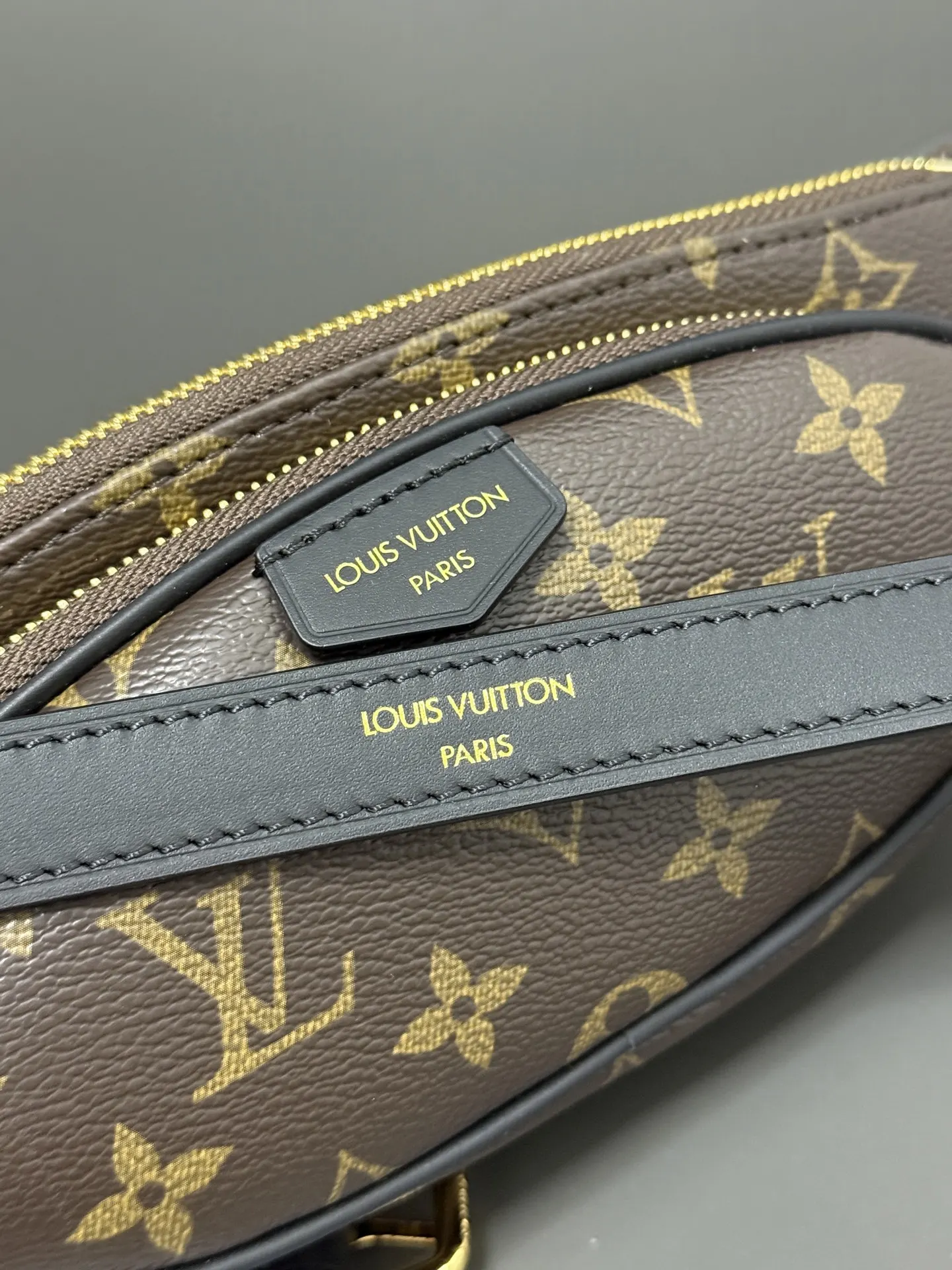 Louis Vuitton Belt Bag Casual Canvas