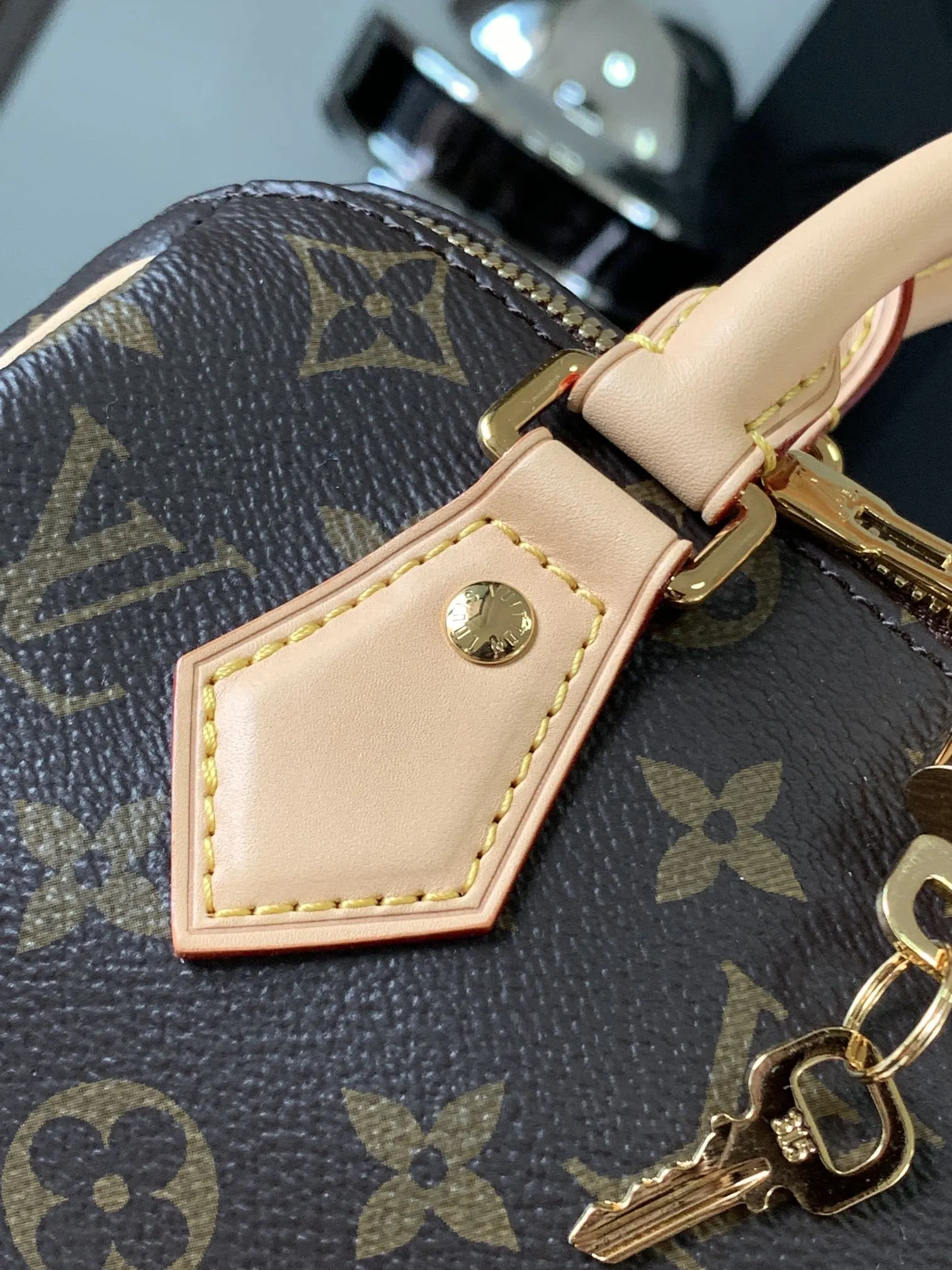 Louis Vuitton M46222 Handbag
