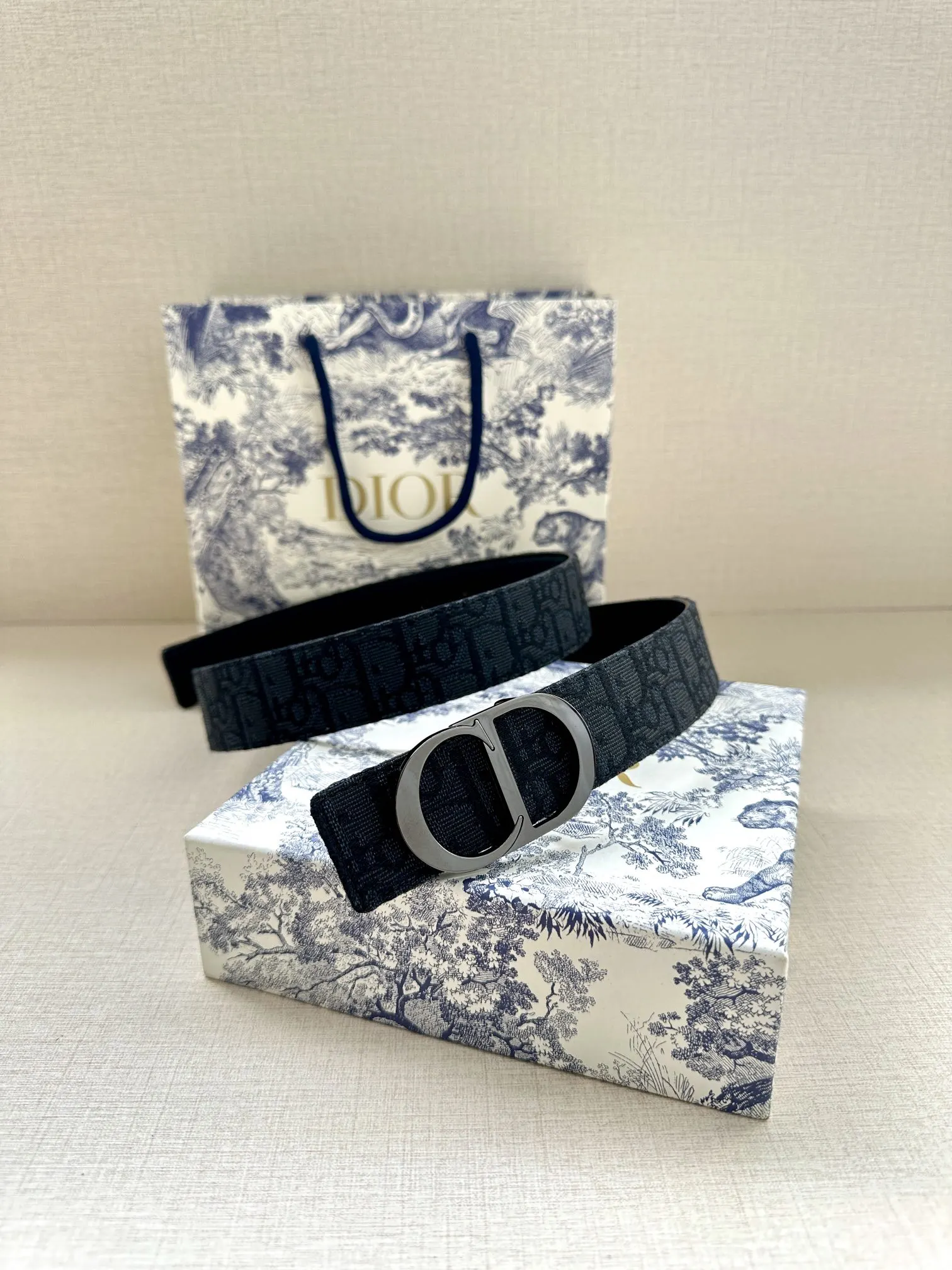 Dior Oblique 黑色/银色 腰带