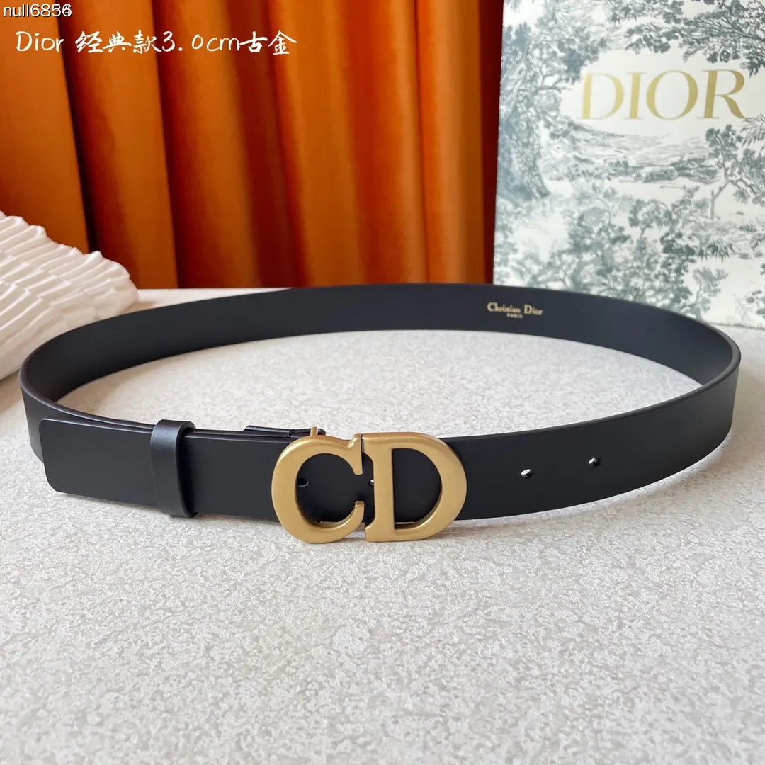 Dior 牛皮裙装 精致穿搭 腰带