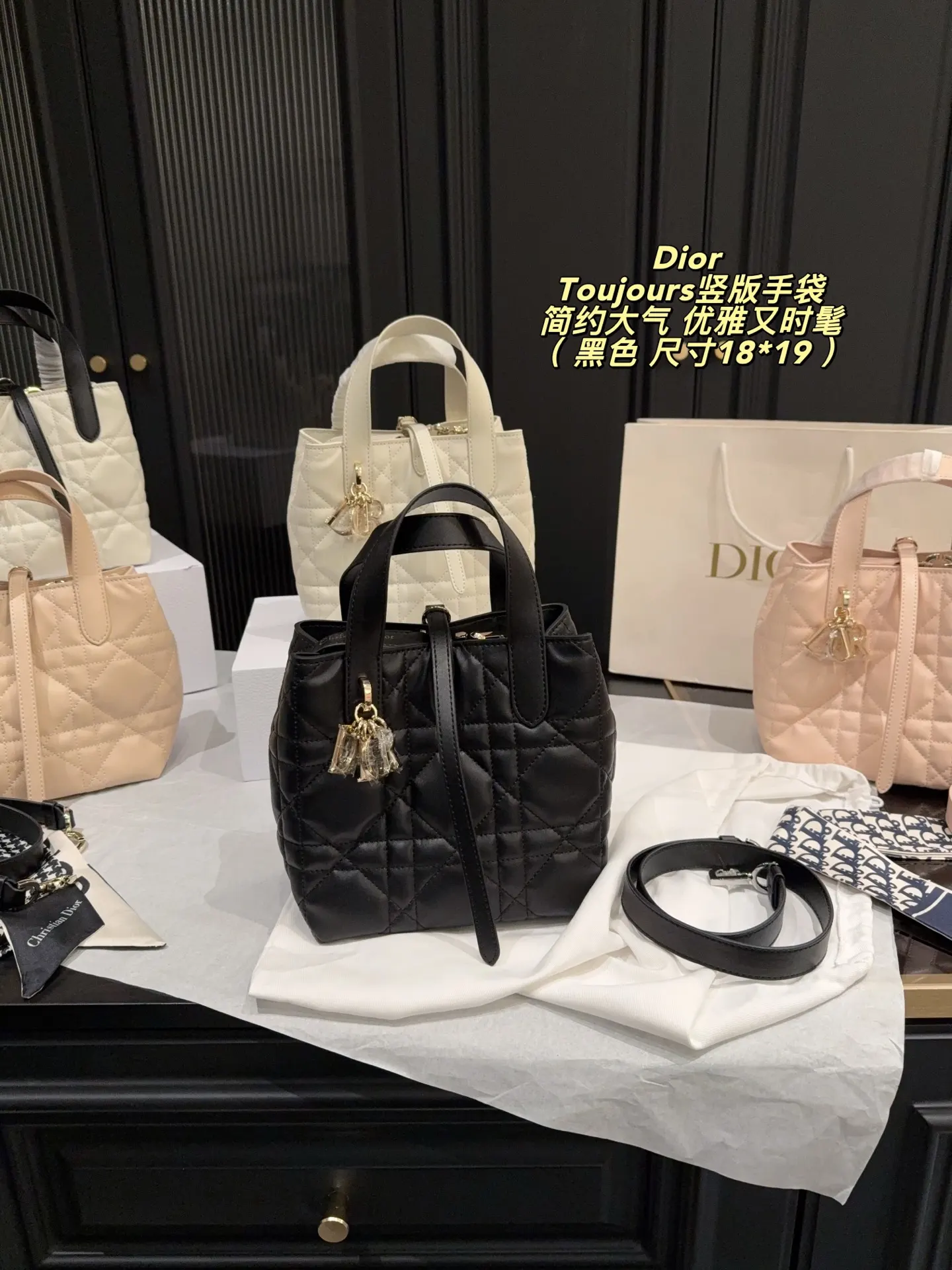 Dior Organizer Pouch Travel