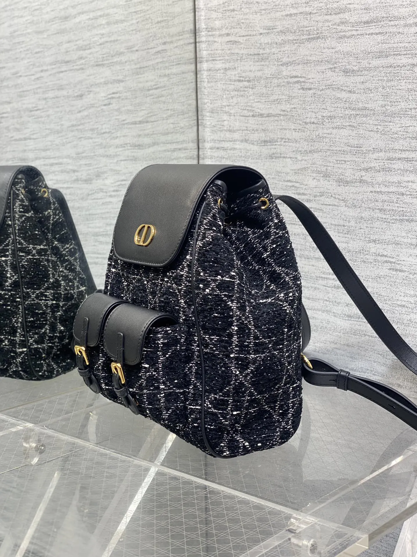 Dior Gold Backpack