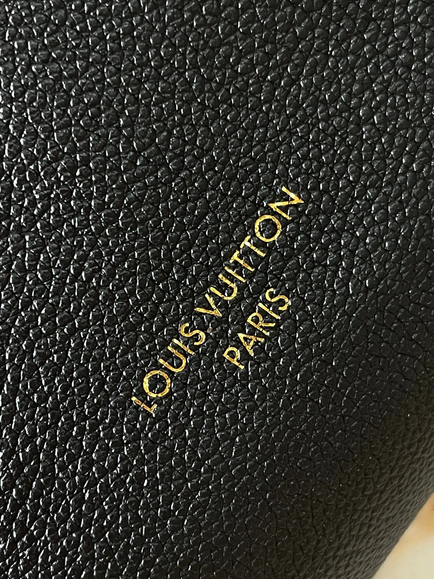 Louis Vuitton Black Fashion Item Travel Leather