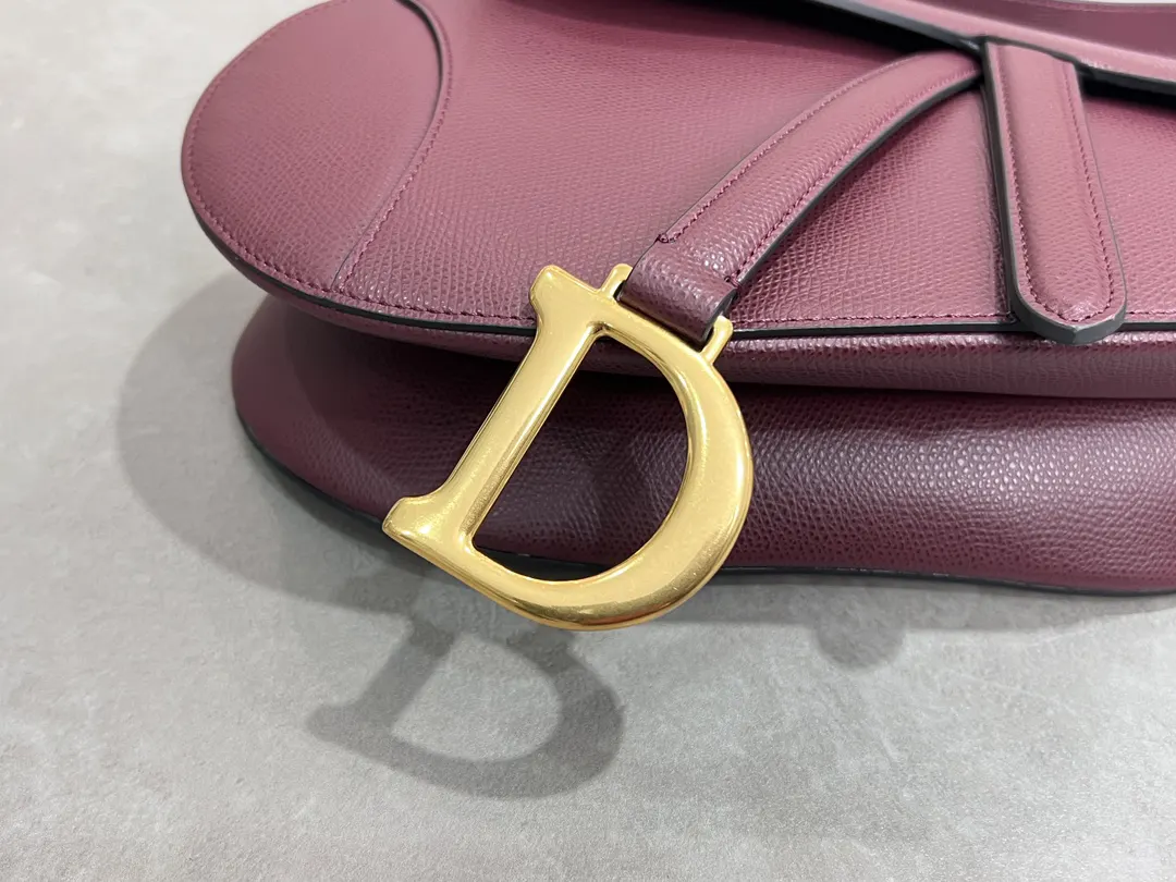 Dior Saddle 红色 手提包