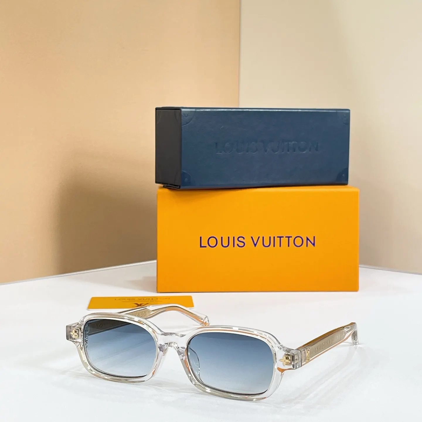 Louis Vuitton Fashion Item Fashion