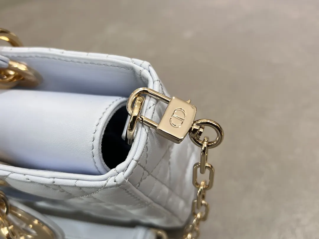 Dior Gold Chain Bag