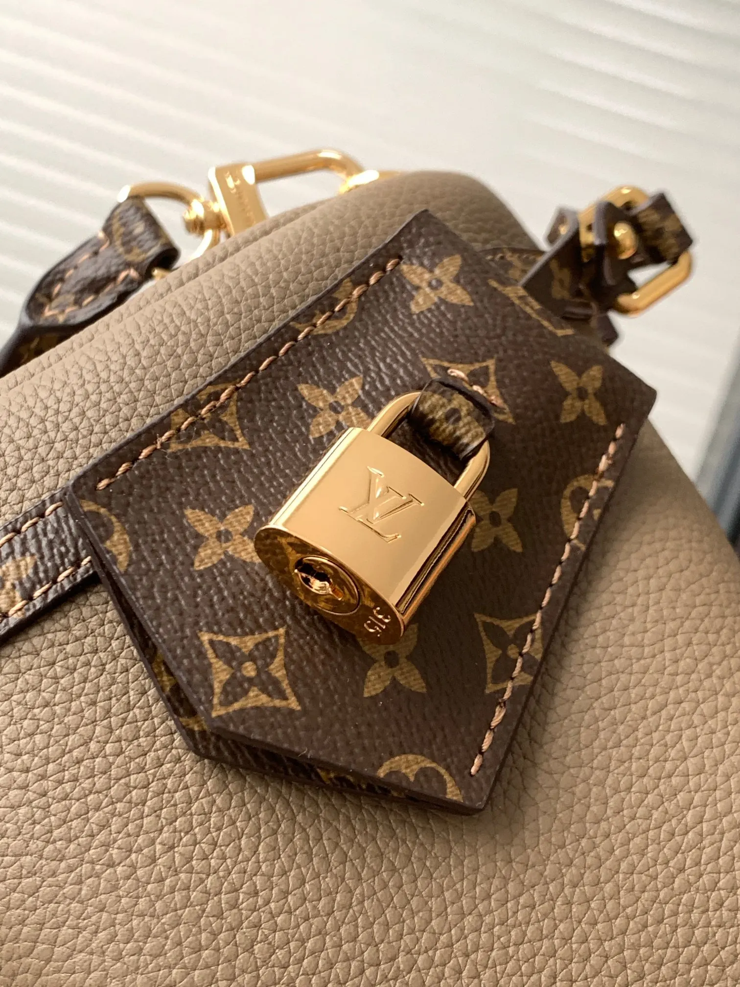 Louis Vuitton Gray Fashion Item Travel Leather