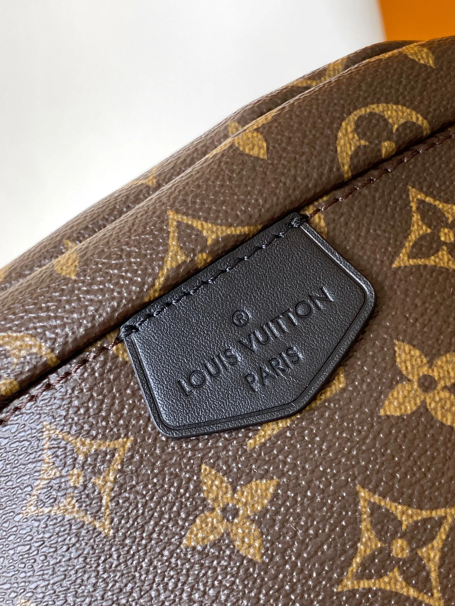 Louis Vuitton Belt Bag Casual Canvas