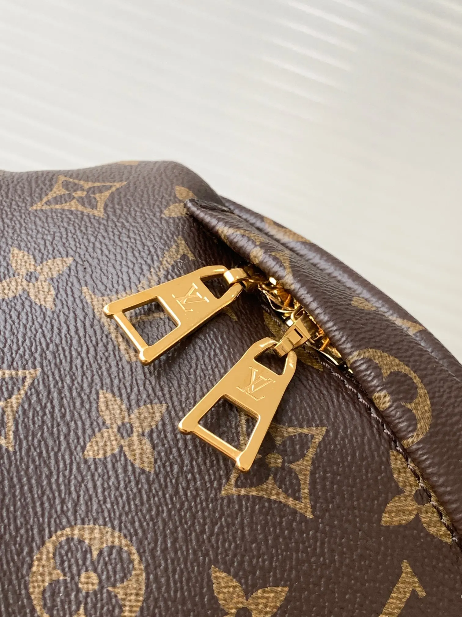 Louis Vuitton Gold Belt Bag Casual Leather