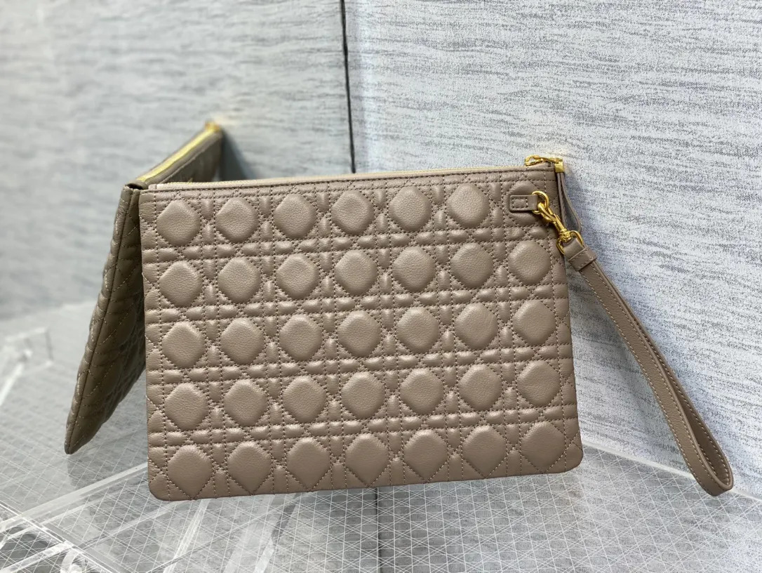 Dior Caro 暖灰褐色 Daily 手拿包 復古风十足 精致手拿款