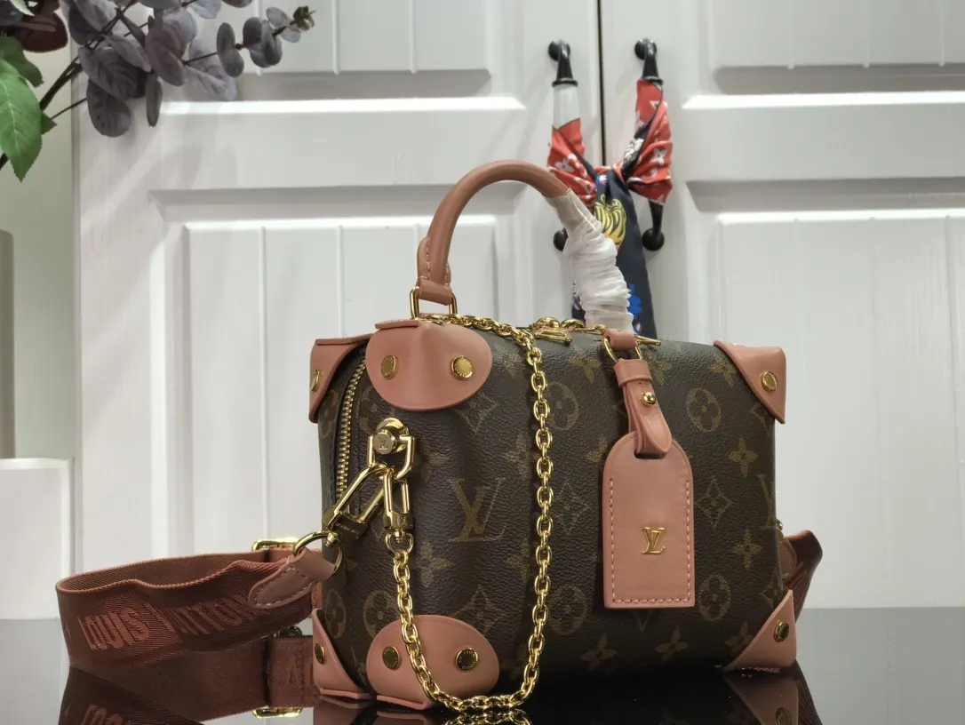LV 帆布 详细特征 厘米 链条包 精致链条款