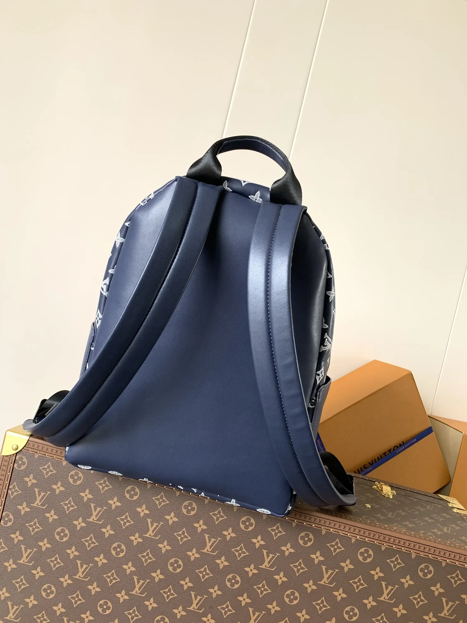 Louis Vuitton Backpack