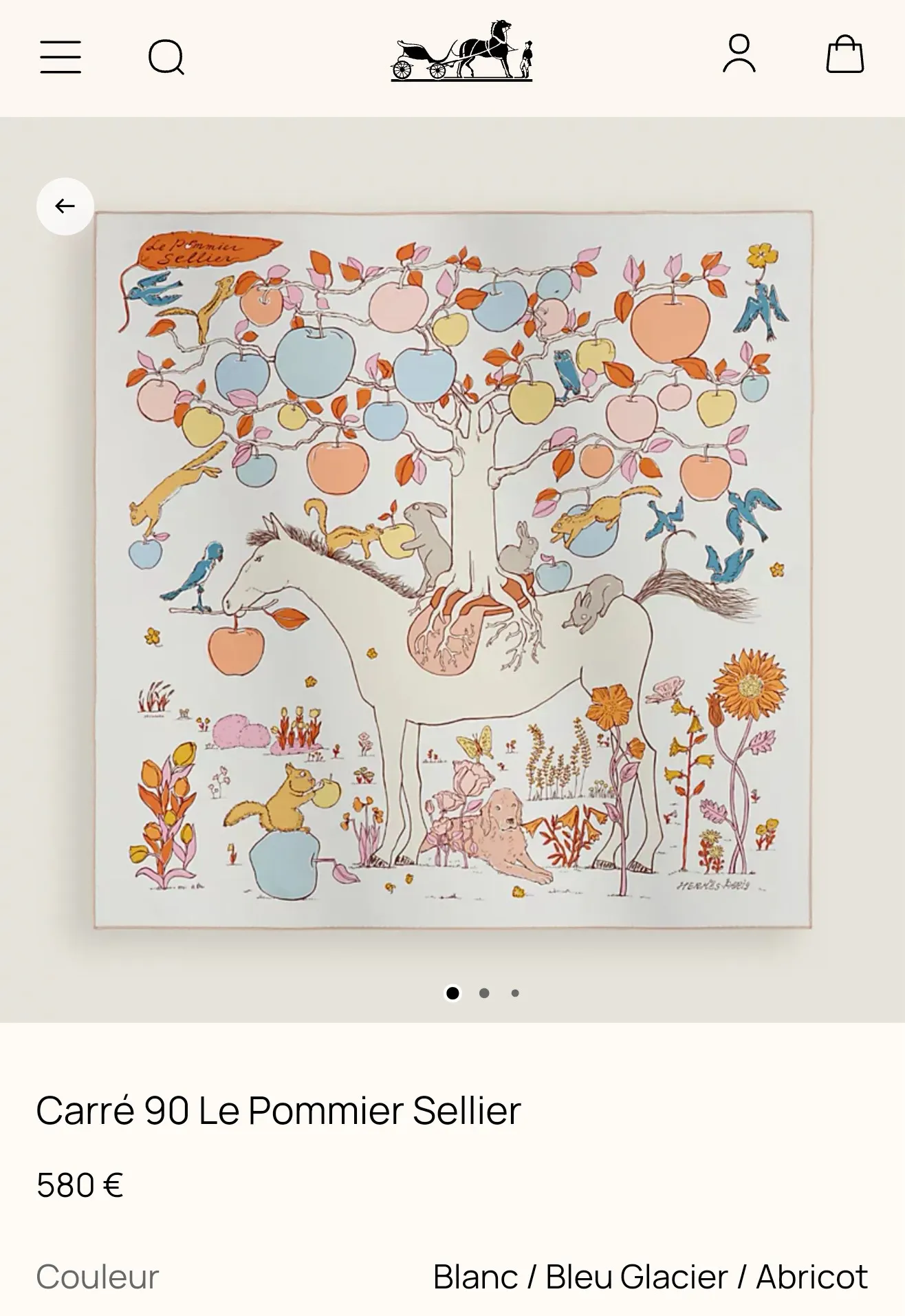Hermès Scarf